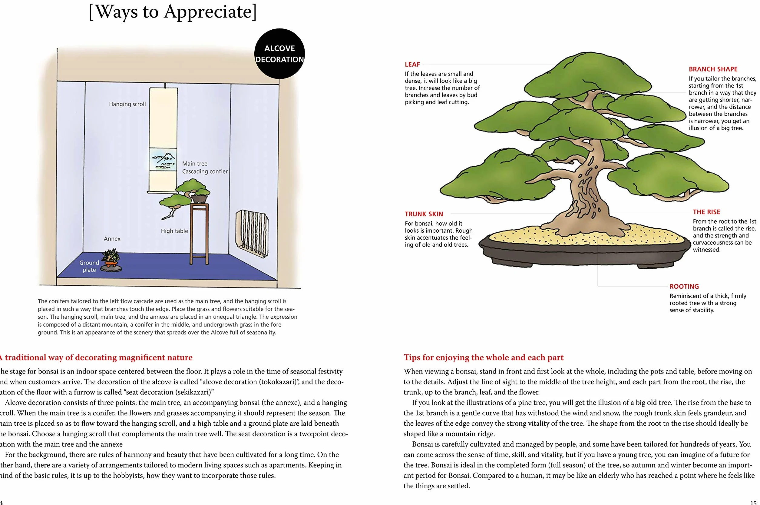 Introduction to Bonsai: The Complete Illustrated Guide for Beginners (with Monthly Growth Schedules and Over 2,000 Illustrations)