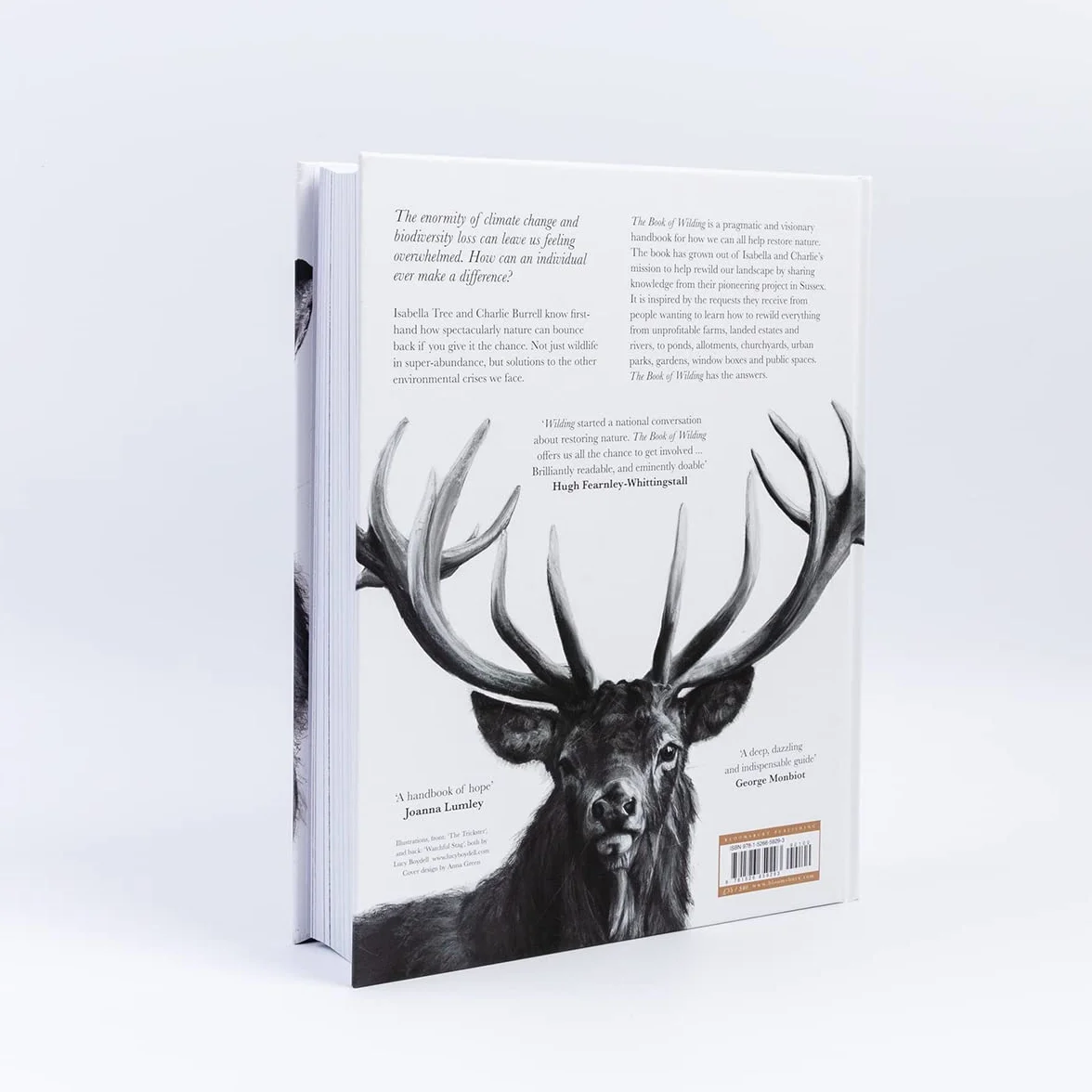 The Book of Wilding: A Practical Guide to Rewilding, Big and Small