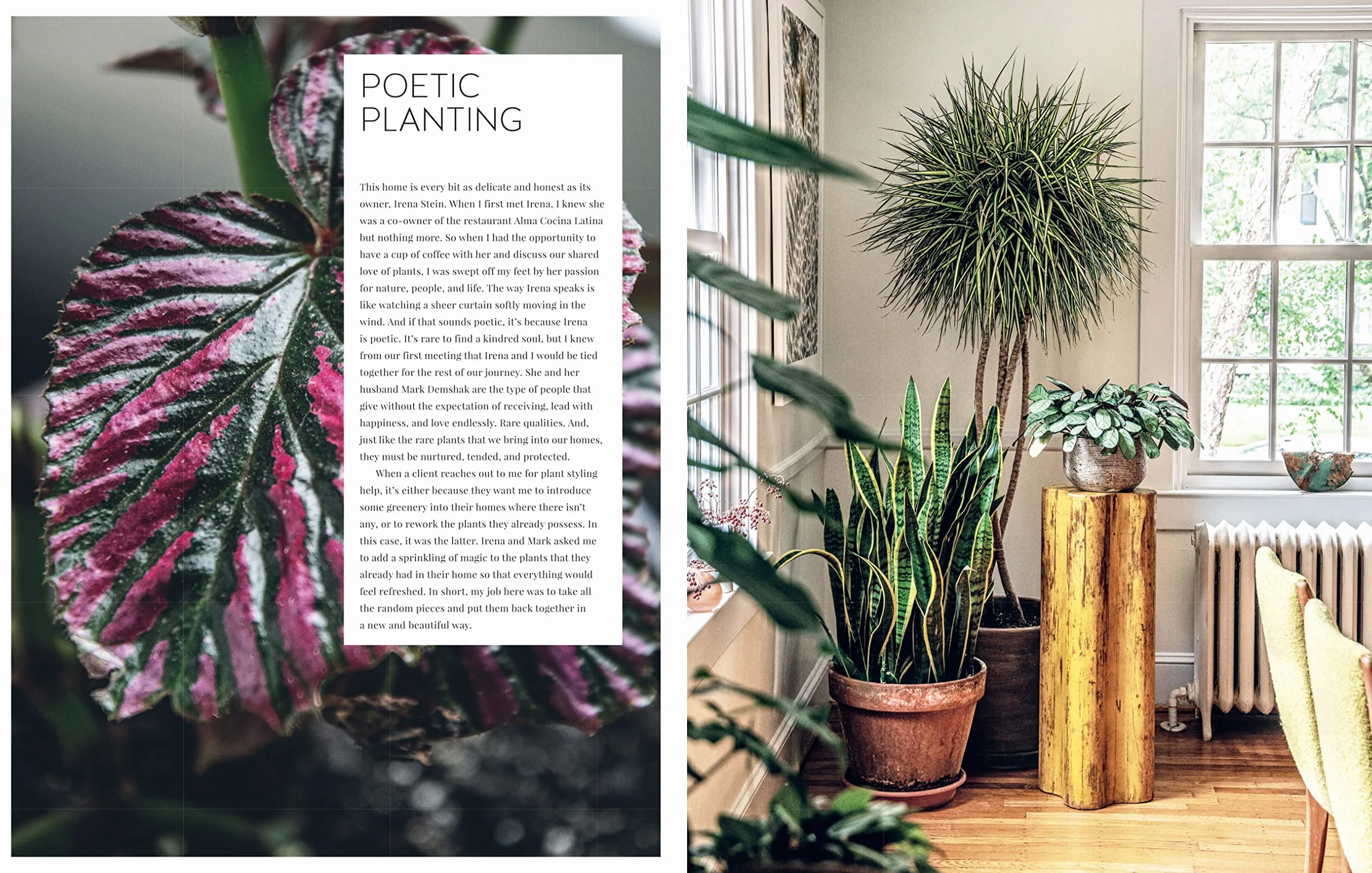 Living Wild: How to Plant Style Your Home and Cultivate Happiness