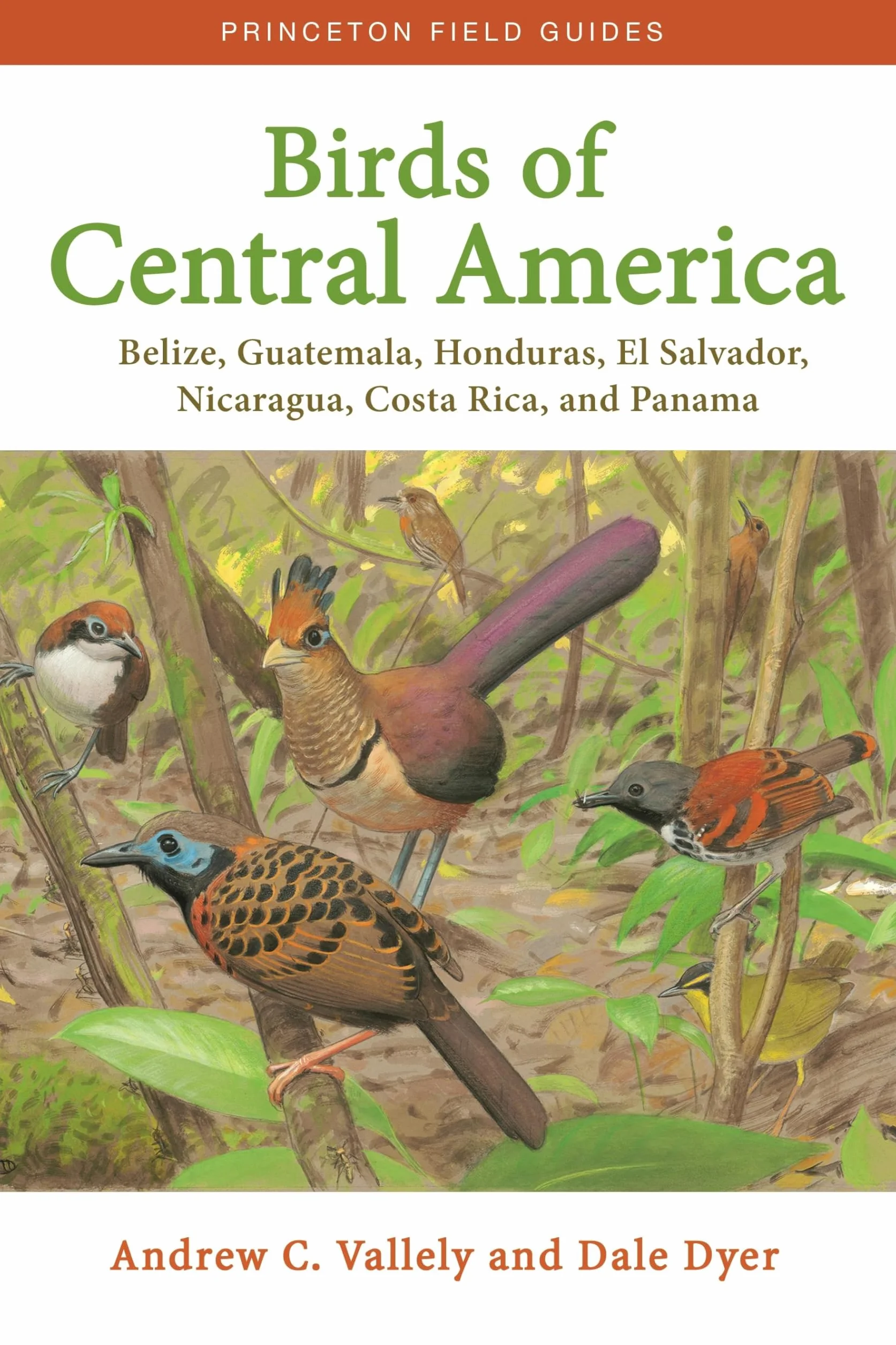 Birds of Central America: Belize, Guatemala, Honduras, El Salvador, Nicaragua, Costa Rica, and Panama: 1