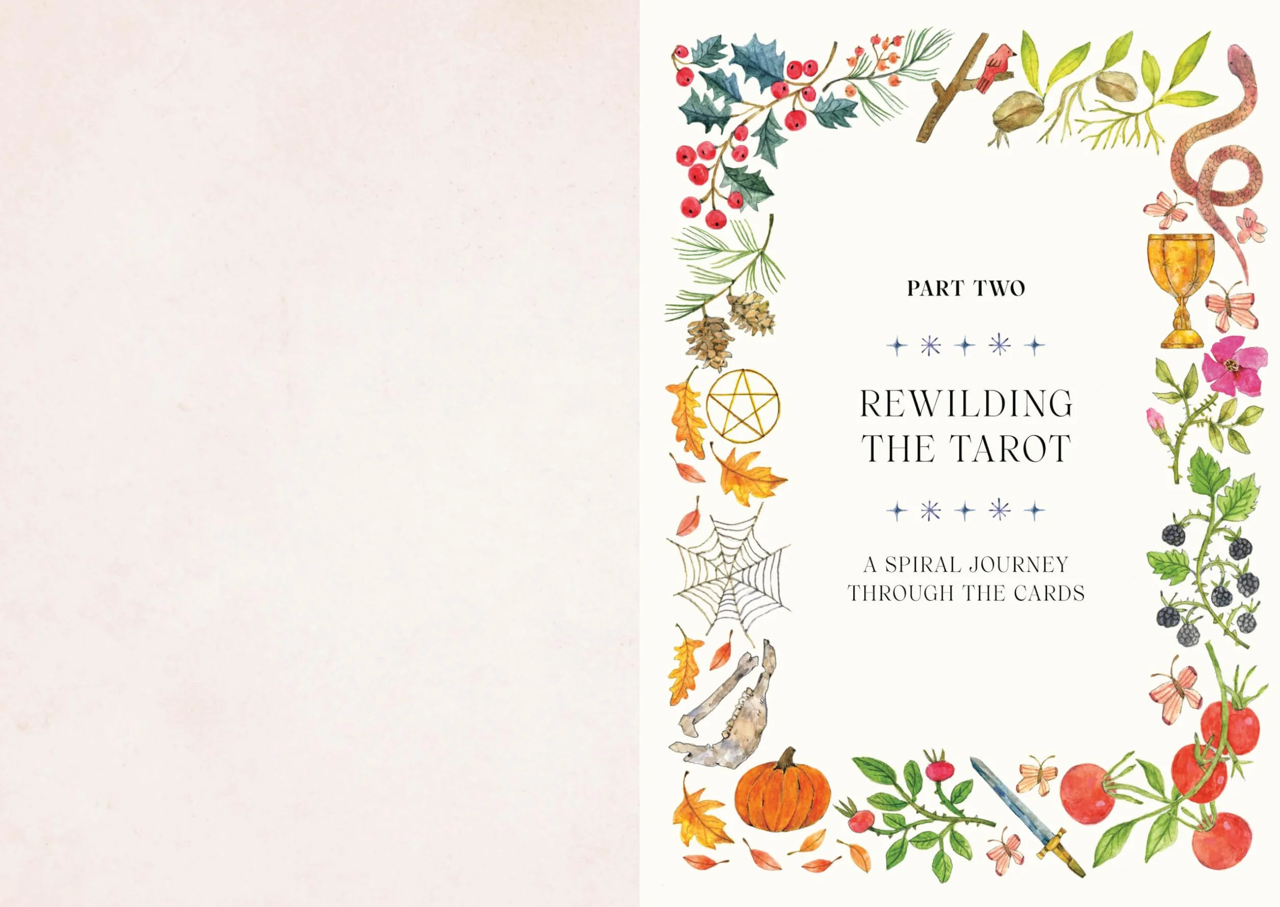 Tarot for the Wild Soul: A Trauma-Informed Approach to the Cards for Growth, Healing, and Grounding in the Present Moment