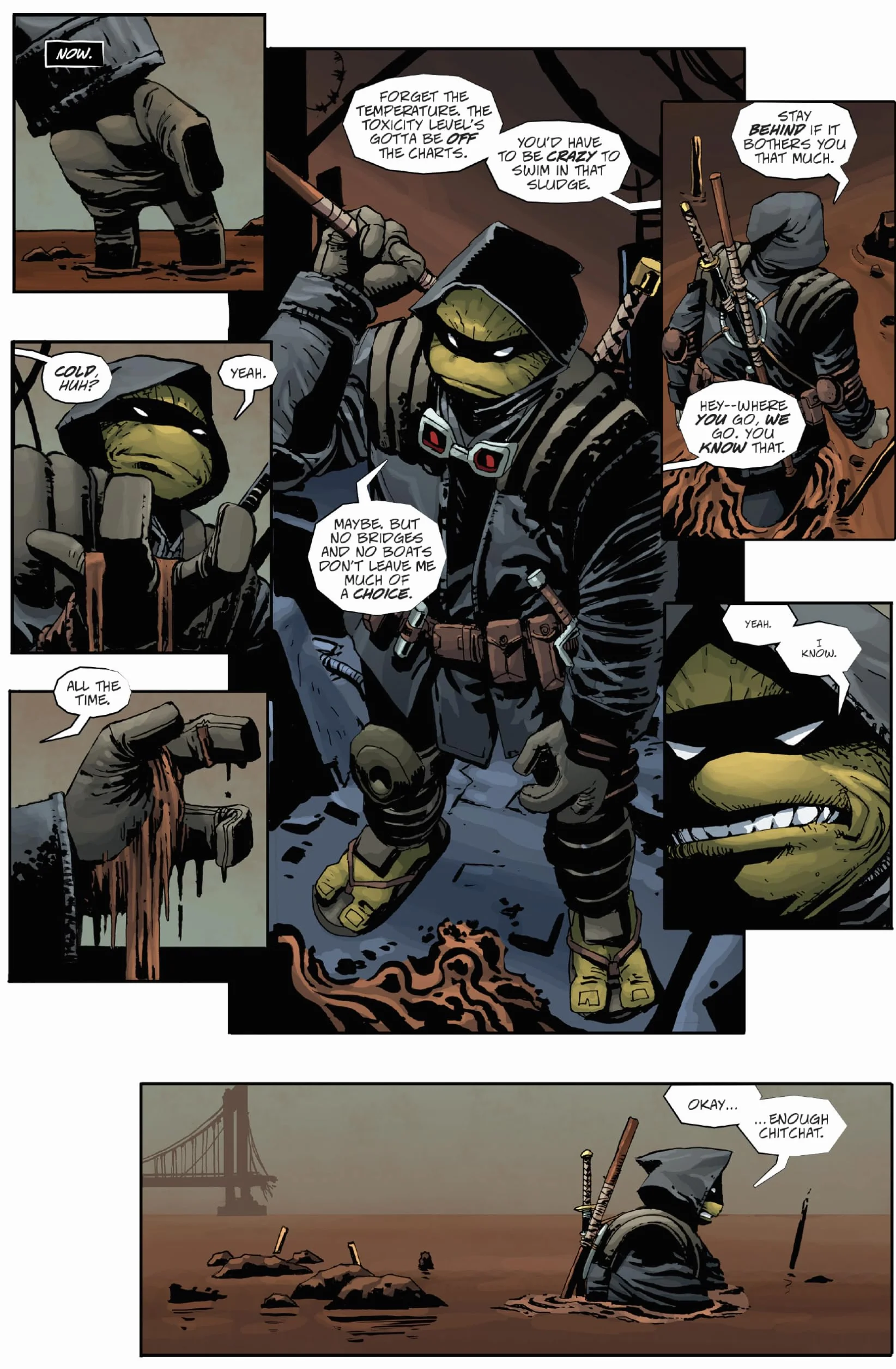 Teenage Mutant Ninja Turtles: The Last Ronin Box Set