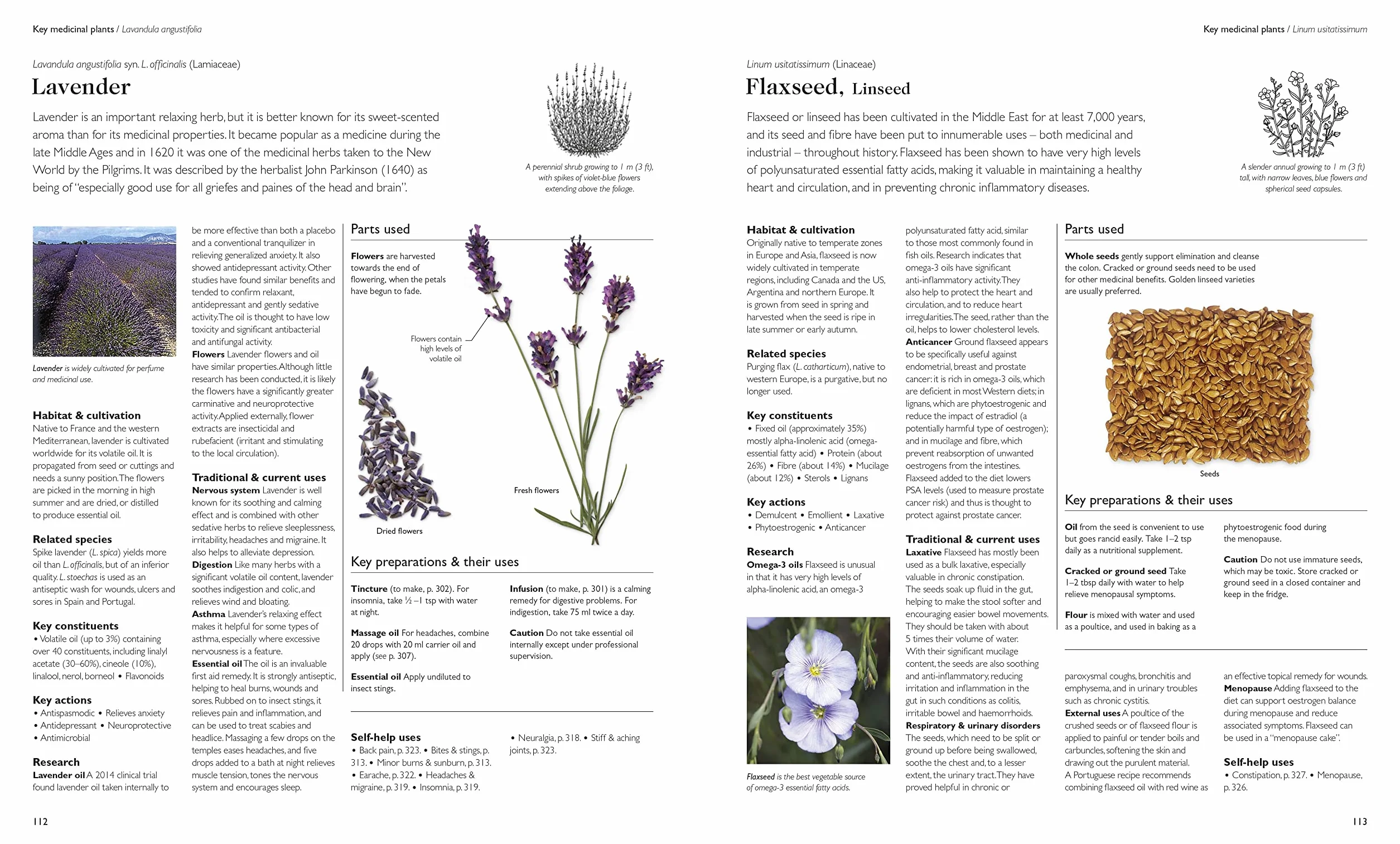 Encyclopedia of Herbal Medicine New Edition: 560 Herbs and Remedies for Common Ailments