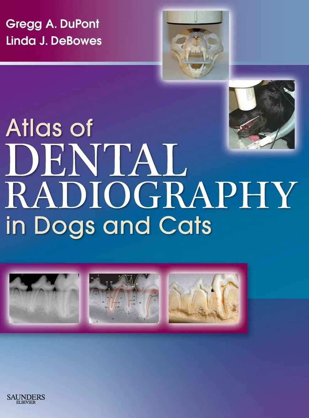 Atlas of Dental Radiography in Dogs and Cats