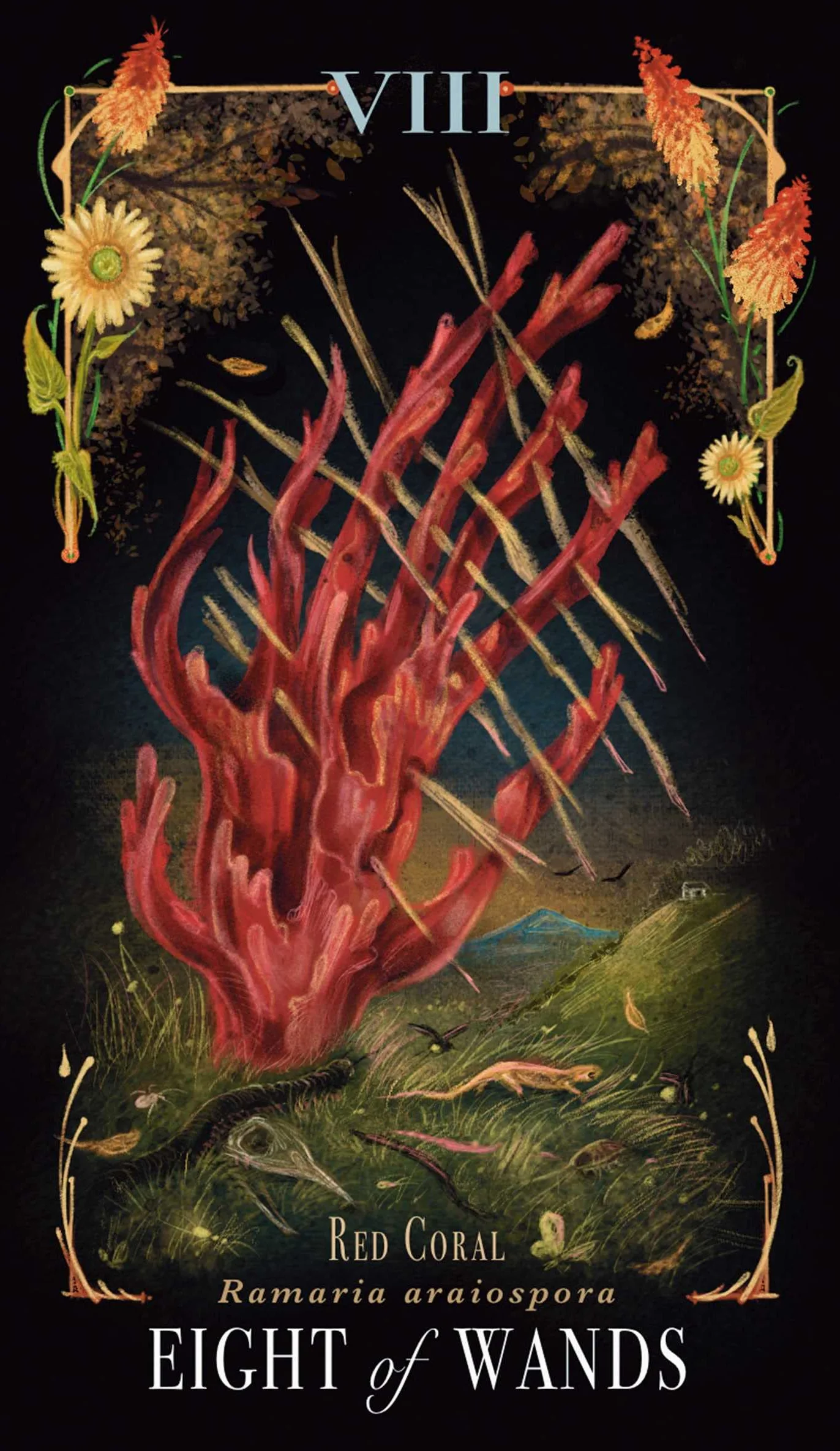 Midnight Magic: A Tarot Deck of Mushrooms