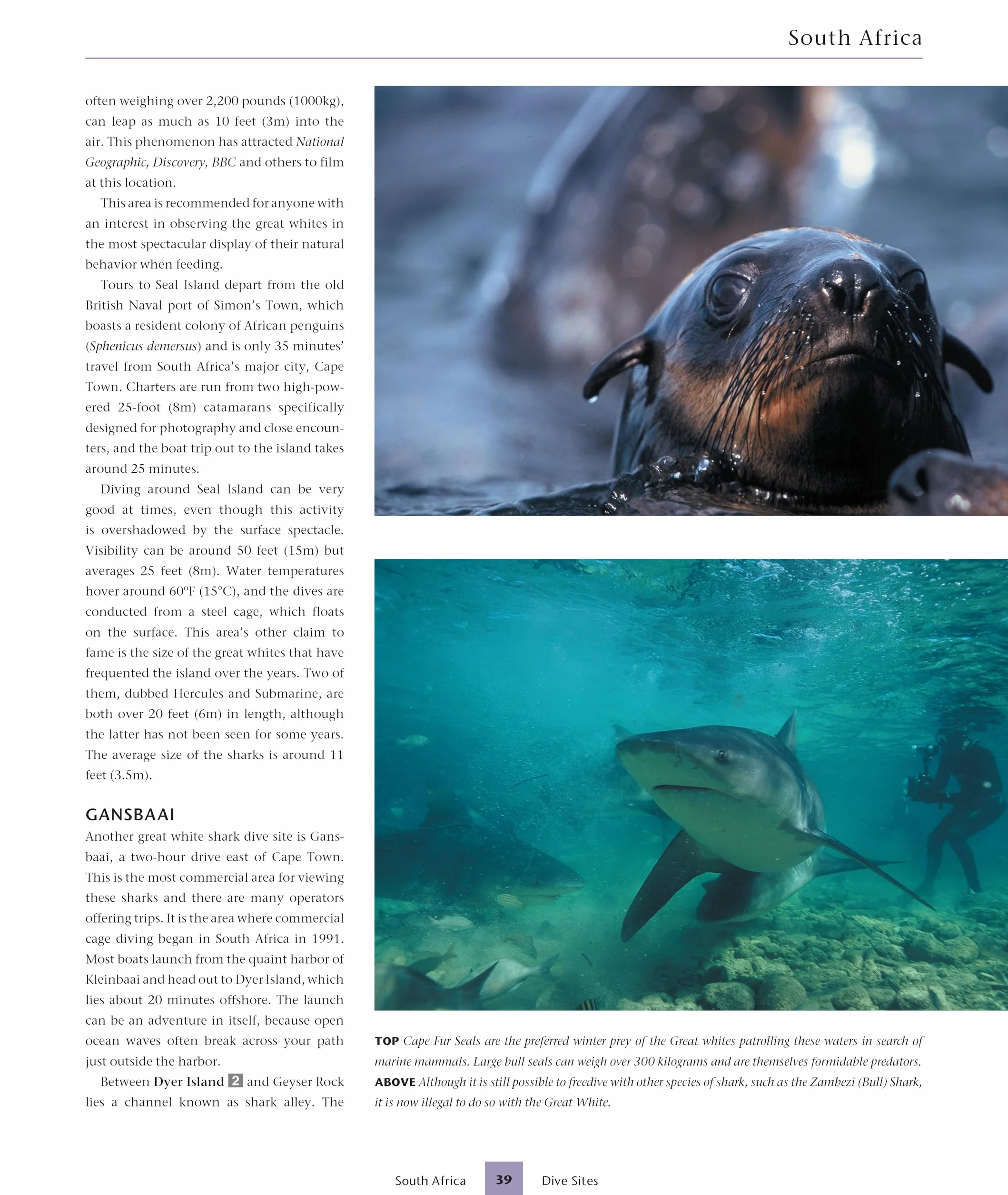 Dive Atlas of the World, Revised and Expanded Edition: An Illustrated Reference to the Best Sites