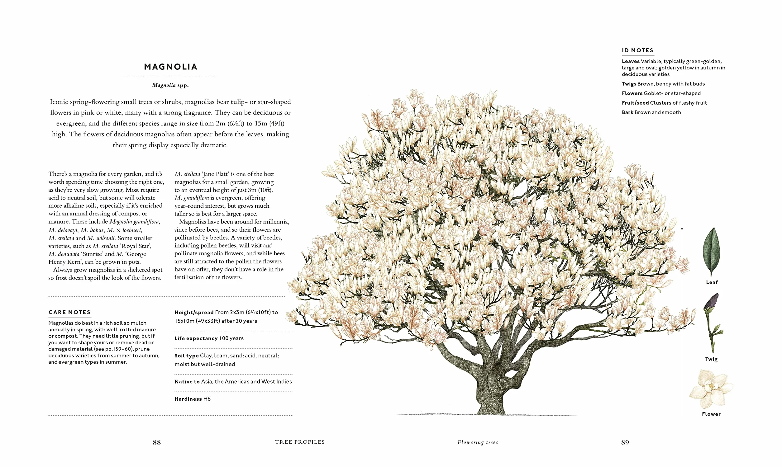 RHS The Tree in My Garden: Choose One Tree, Plant It - and Change the World