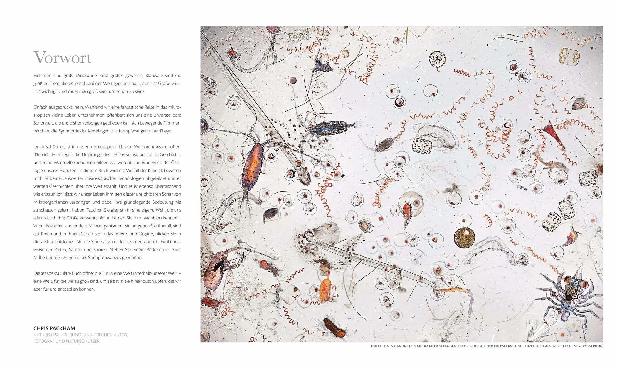 Mikrokosmos - Wunderwelt der kleinsten Lebewesen: Mikroskopbilder und atemberaubende Makrofotografien illustrieren die unsichtbare Welt unseres Mikrokosmos