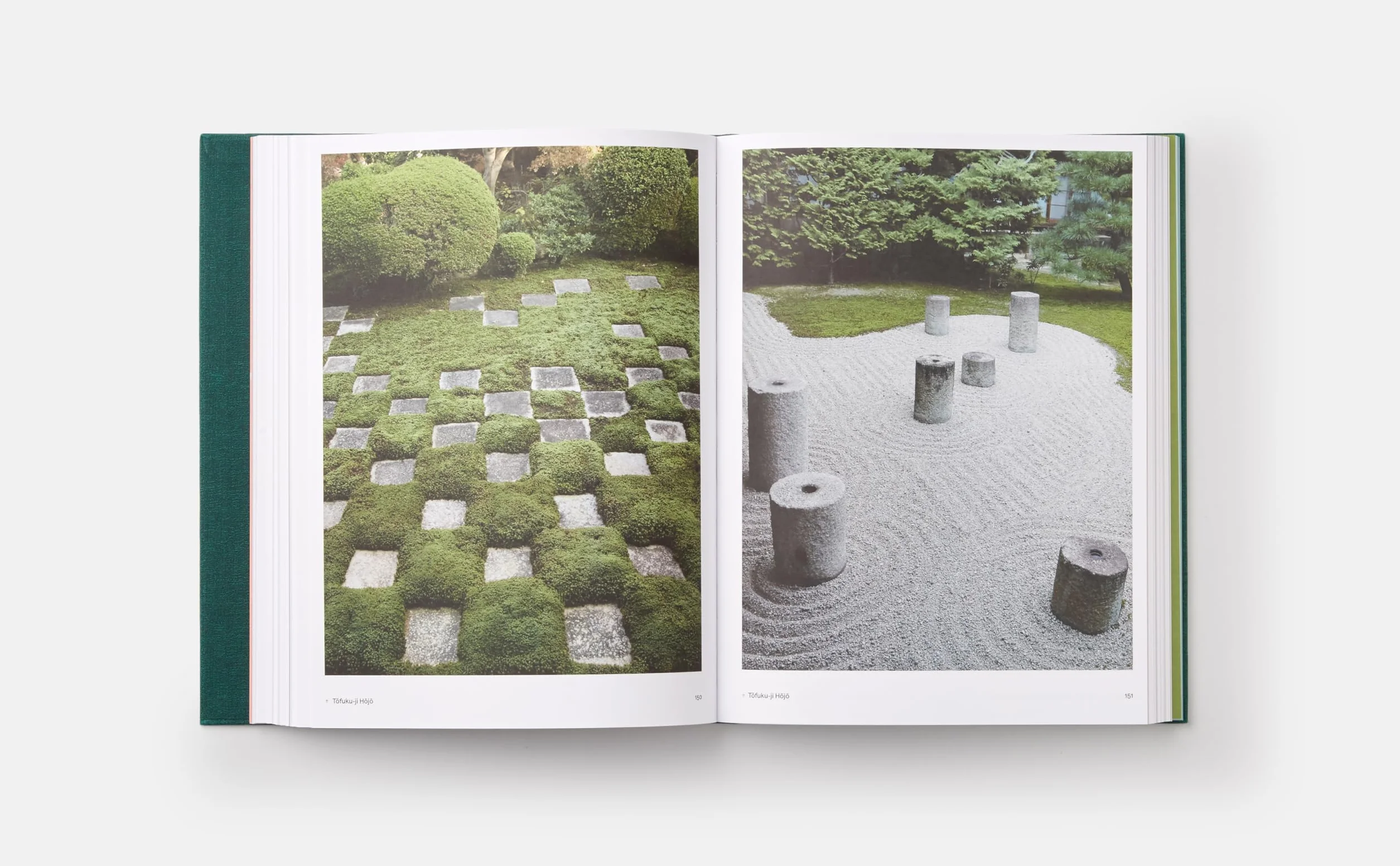 The japanese garden