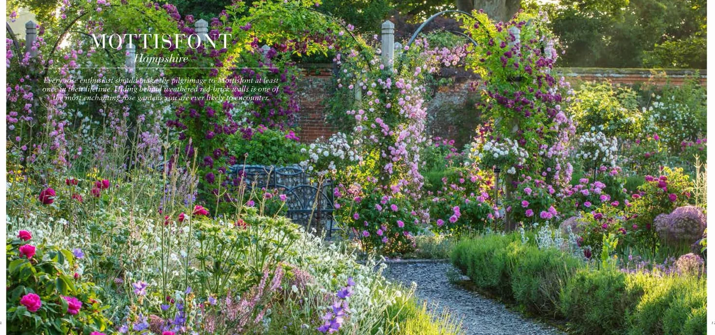 Roses and Rose Gardens