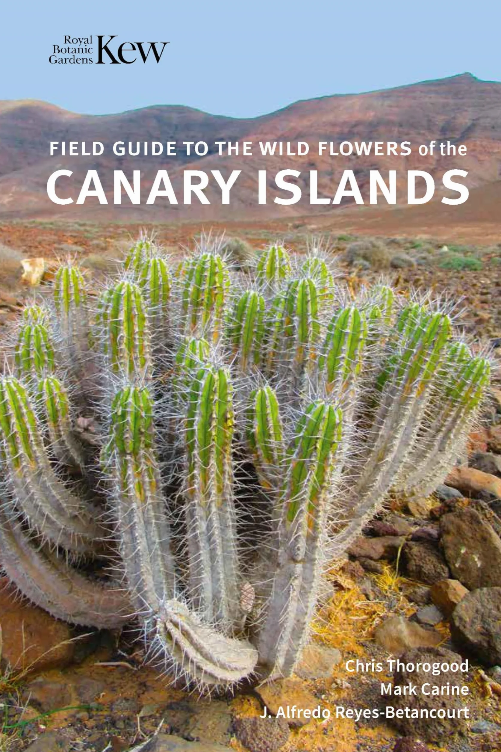 Field Guide to the Wild Flowers of the Canary Islands