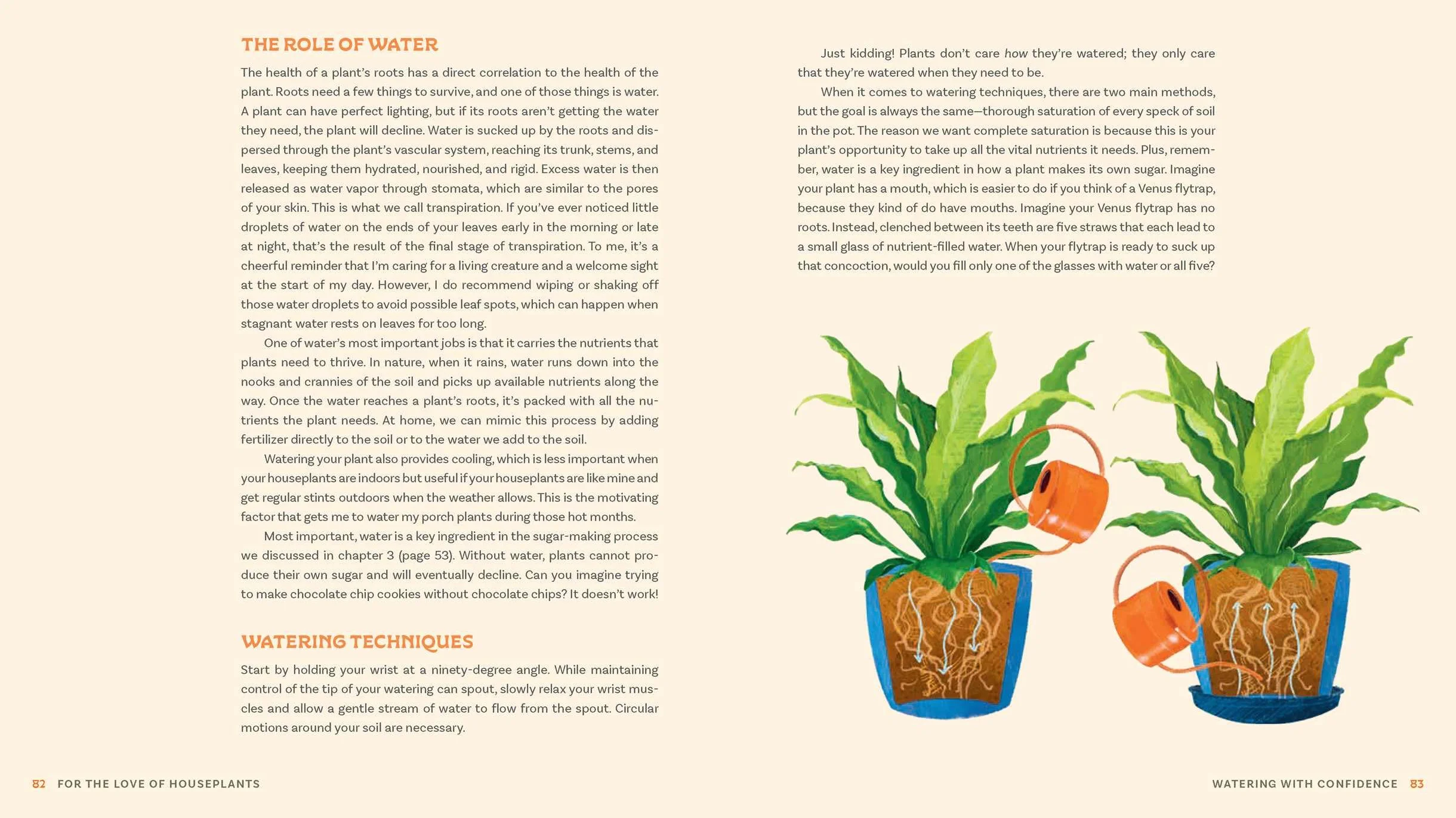 For the Love of Houseplants: Caring for & Keeping Plants with Confidence