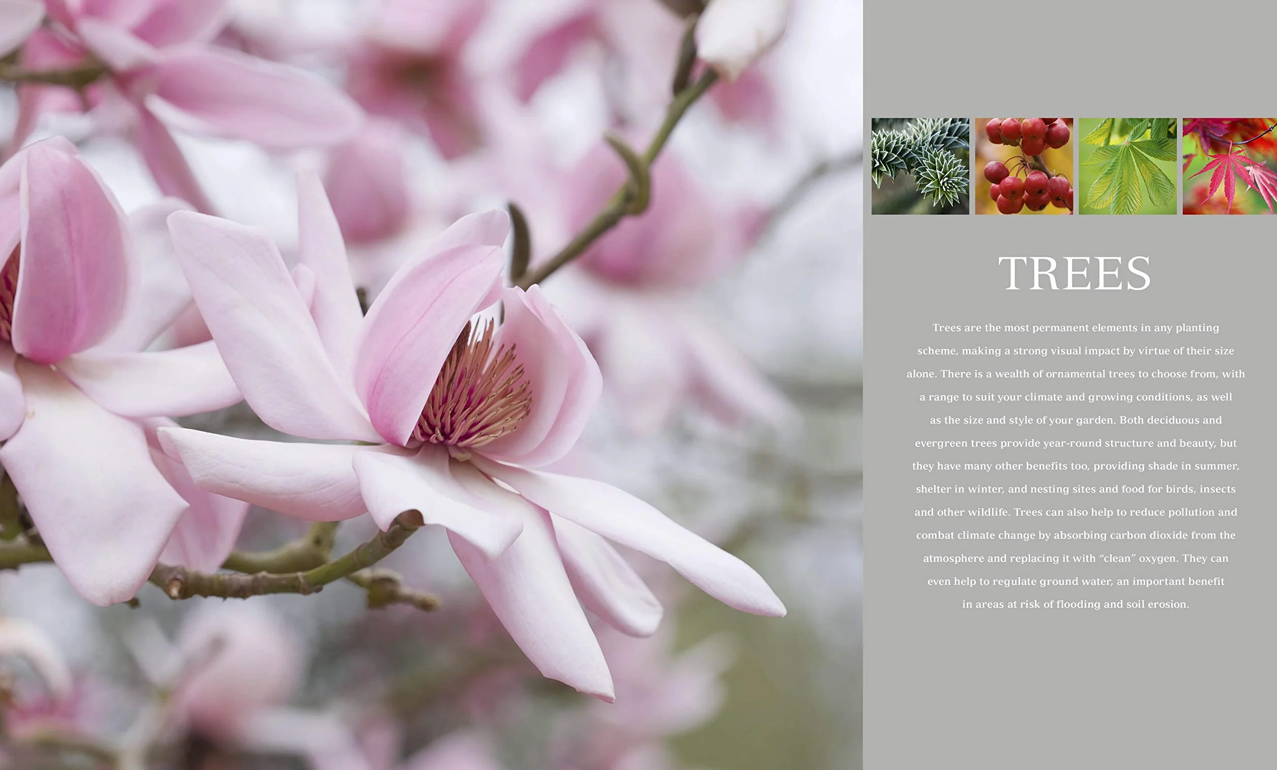 RHS Encyclopedia Of Plants and Flowers: 8000 plants with more than 1400 new entries