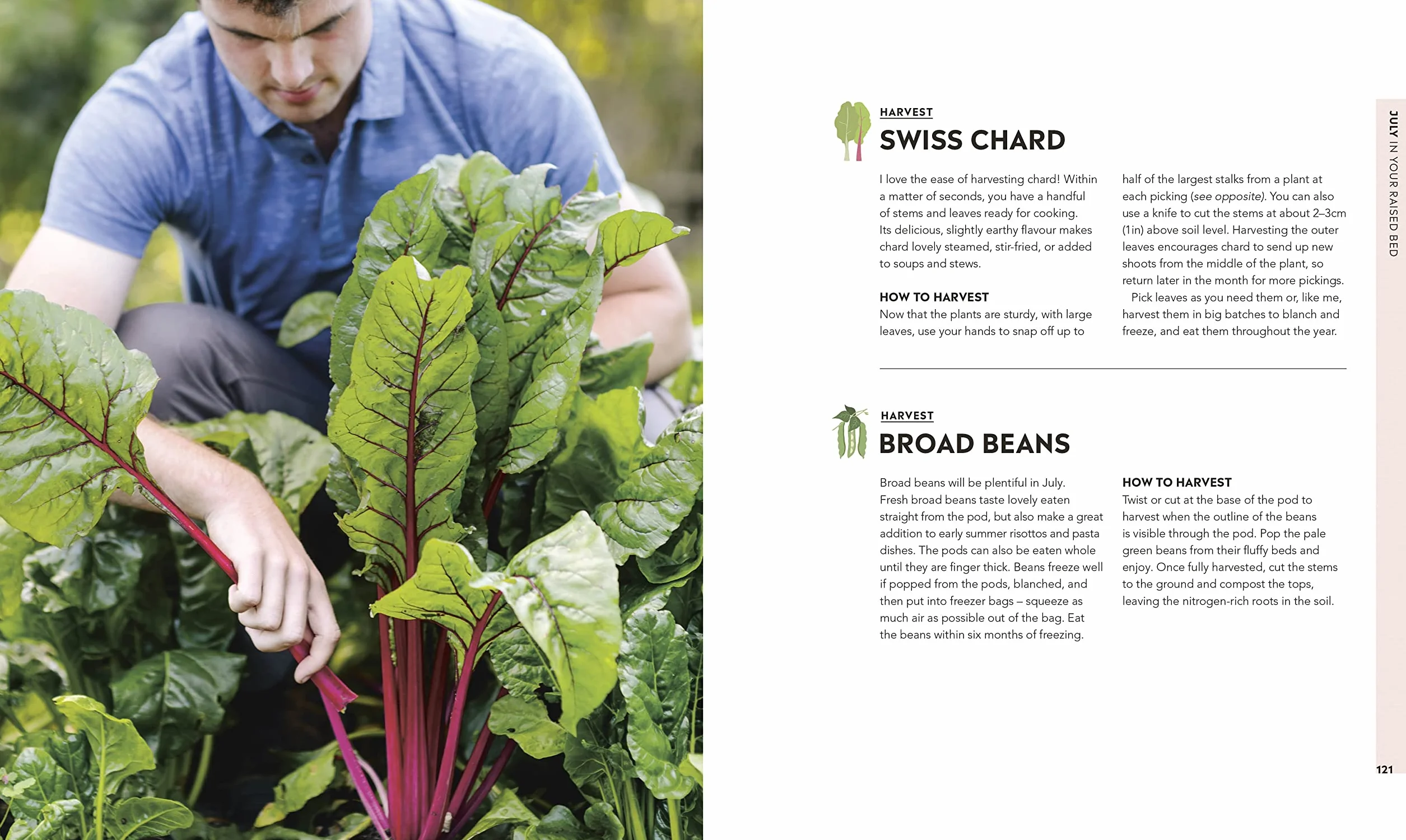 Veg in One Bed New Edition: More than 100,000 copies sold