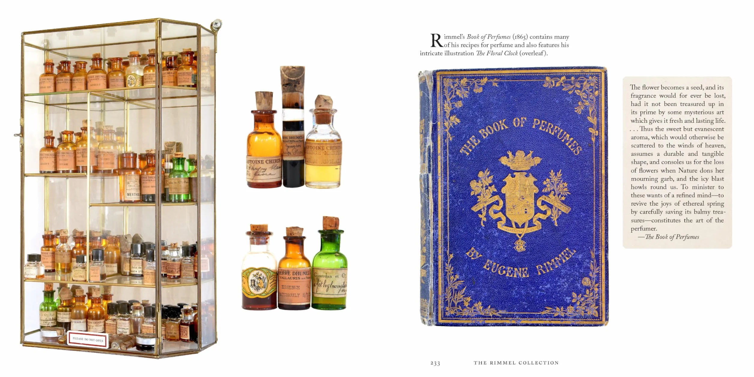 The Museum of Scent Exploring the Curious and Wondrous World of Fragrance /anglais