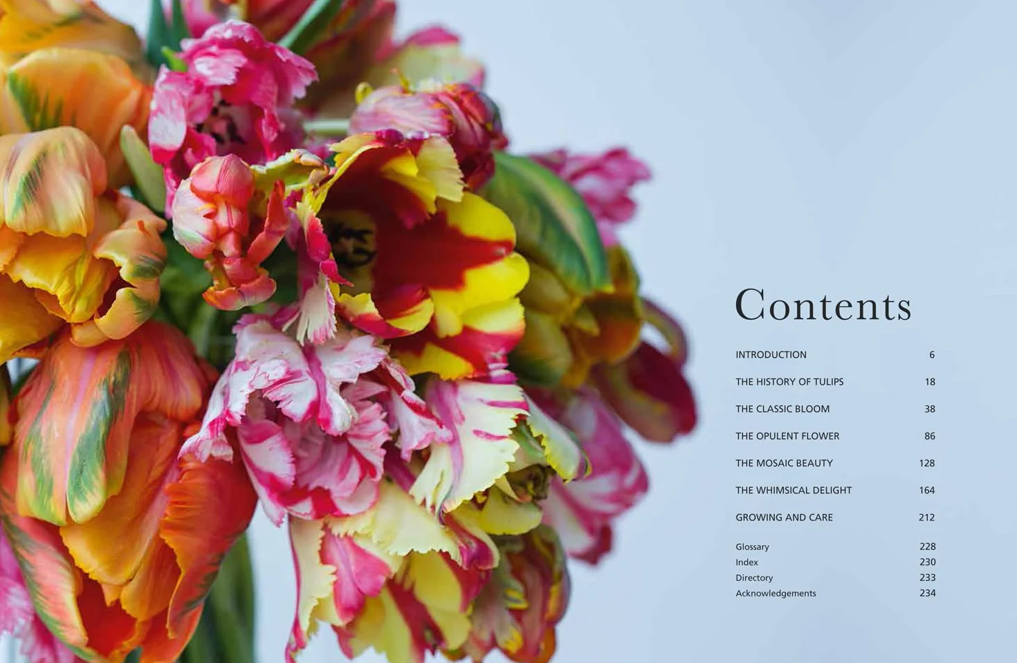 Tulips: The ultimate guide for growing and cutting flower varieties for the home and garden