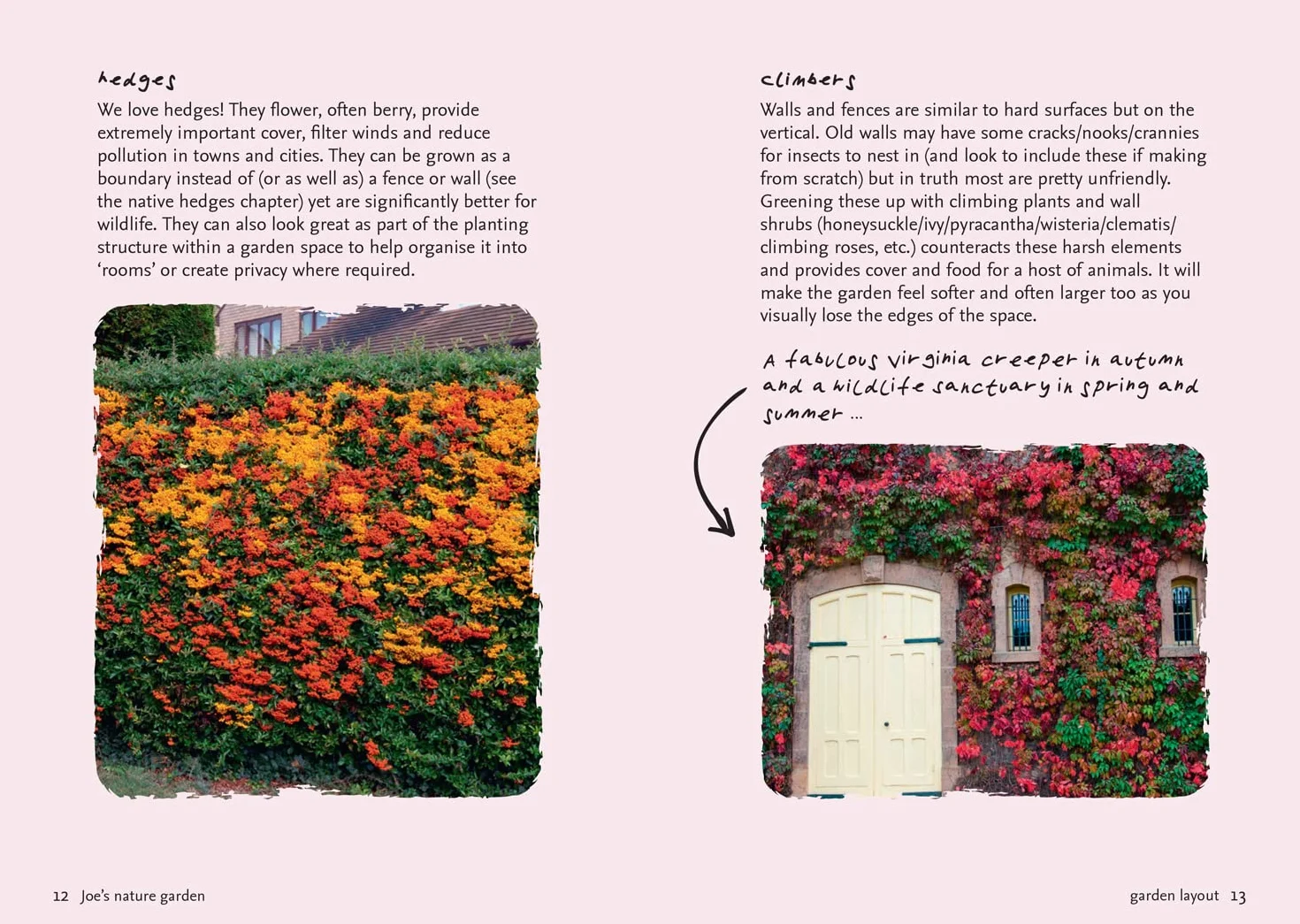 Nature Garden: Beginner’s guide to designing a wildlife garden