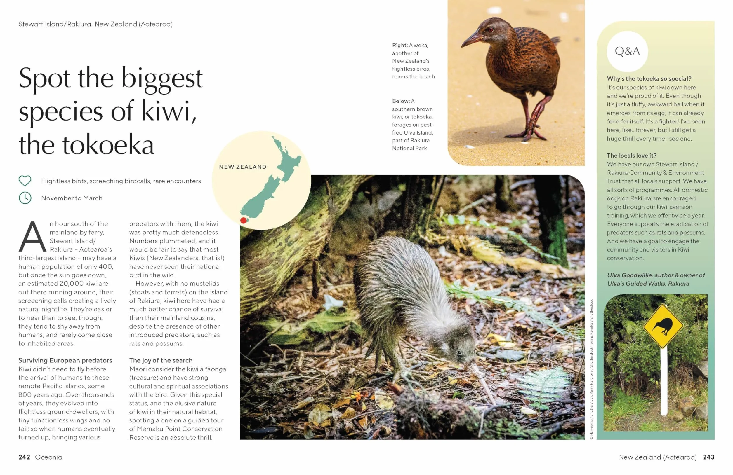 The Joy of Birdwatching - anglais: The World's Most Joyous Birding Adventures | Connect with Nature & Meet Remarkable Creatures | Packed with Tips on Where & When to Go