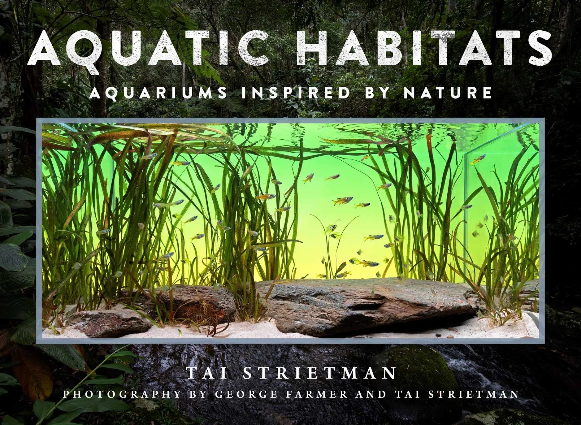 Aquatic Habitats: Aquariums Inspired by Nature
