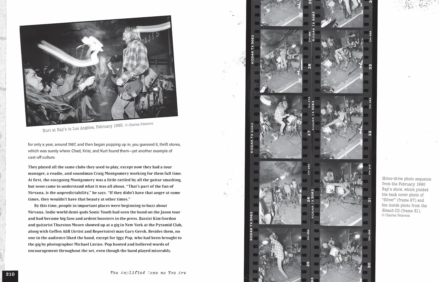 The Amplified Come as You Are: The Story of Nirvana