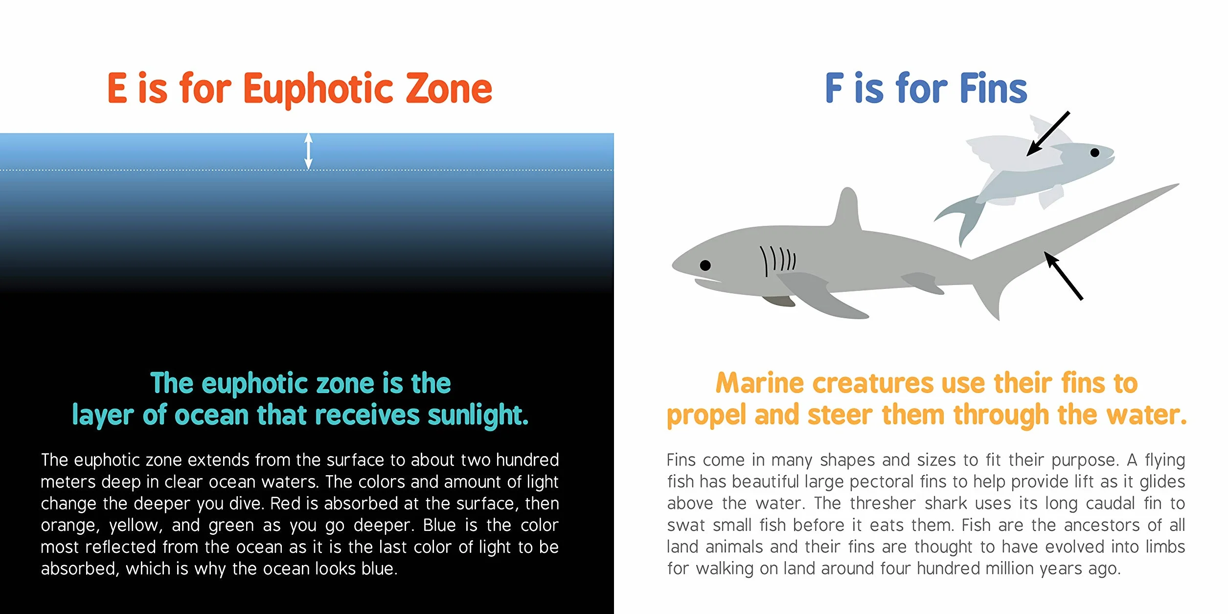 ABCs of Oceanography: 1 (Baby University)