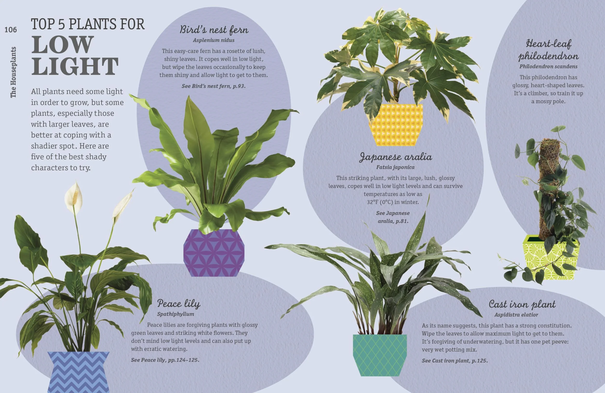 How Not to Kill Your Houseplant New Edition: Survival Tips for the Horticulturally Challenged