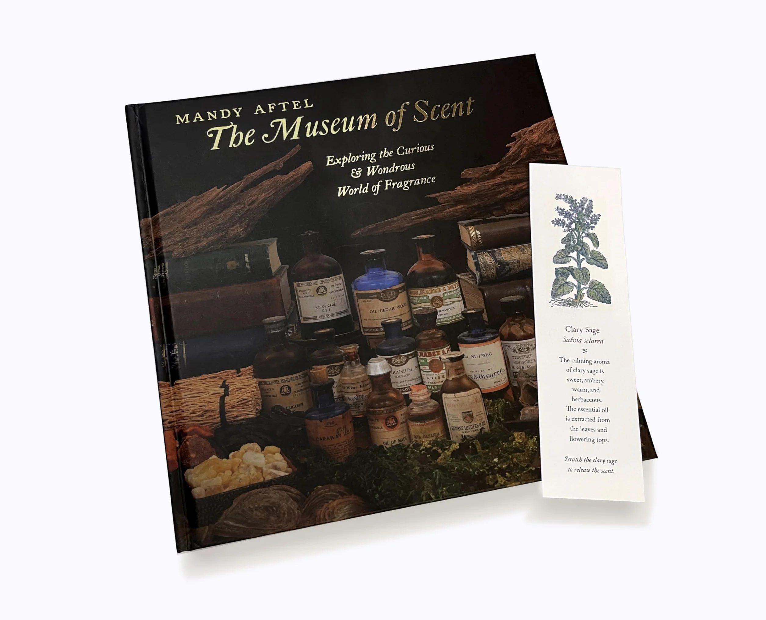 The Museum of Scent Exploring the Curious and Wondrous World of Fragrance /anglais