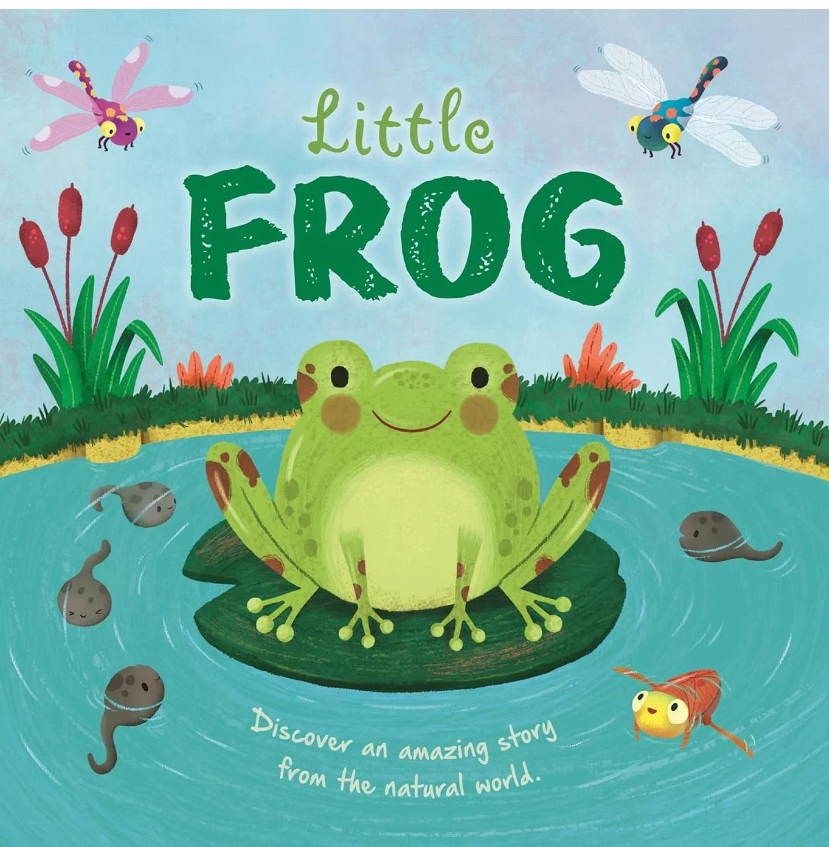 Little Frog