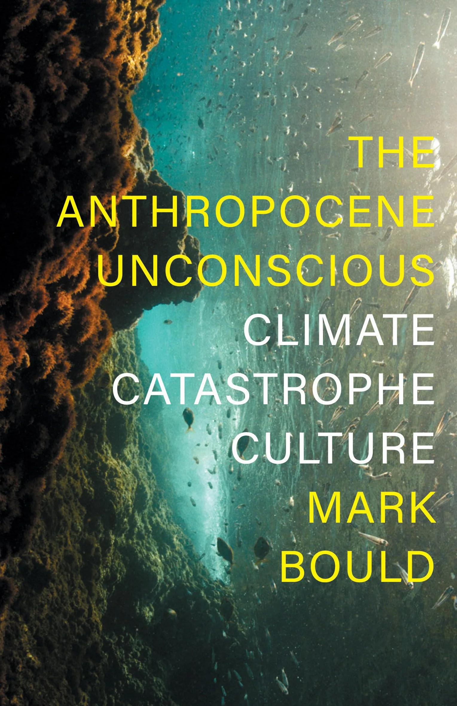 The Anthropocene Unconscious: Climate Catastrophe Culture