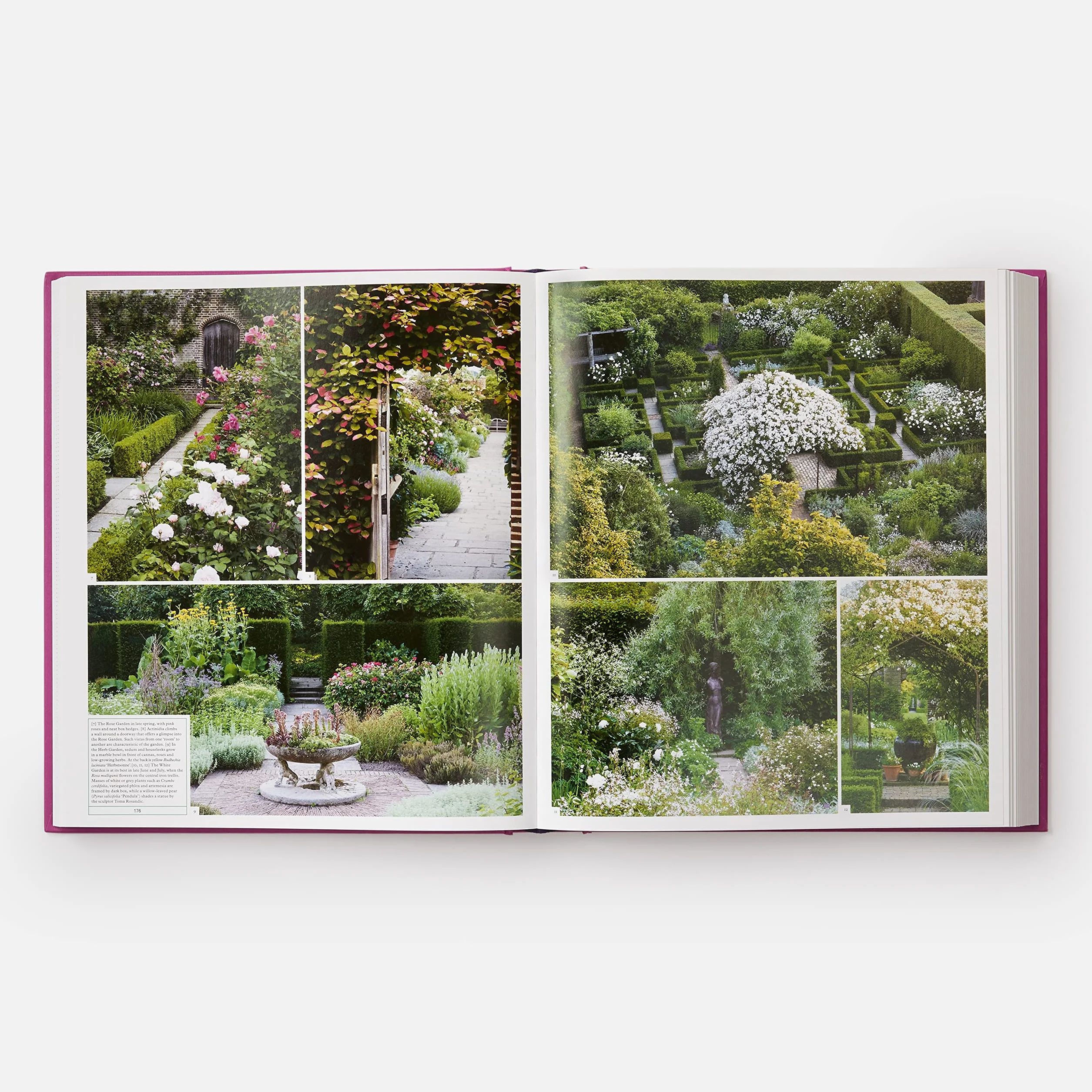 The Gardener's Garden: Inspiration Across Continents and Centuries