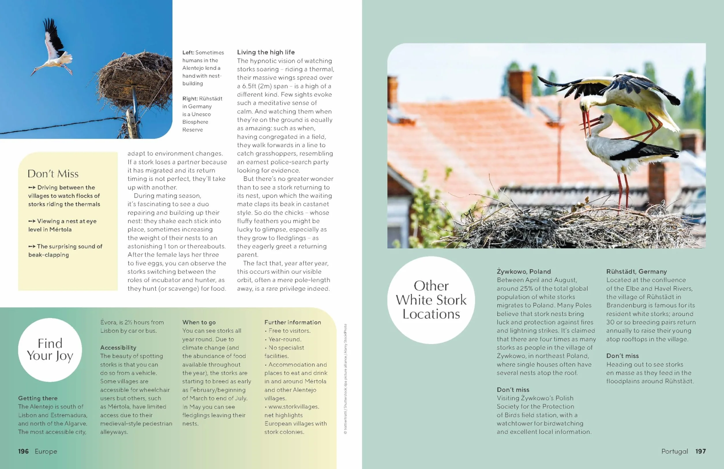 The Joy of Birdwatching - anglais: The World's Most Joyous Birding Adventures | Connect with Nature & Meet Remarkable Creatures | Packed with Tips on Where & When to Go