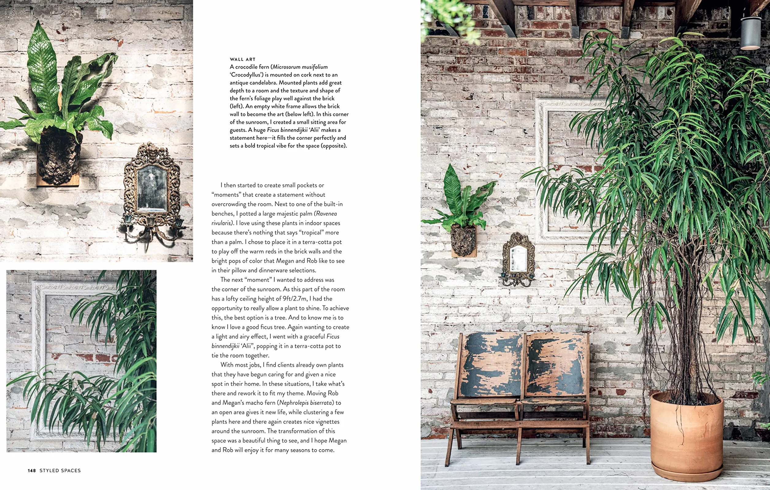 Living Wild: How to Plant Style Your Home and Cultivate Happiness