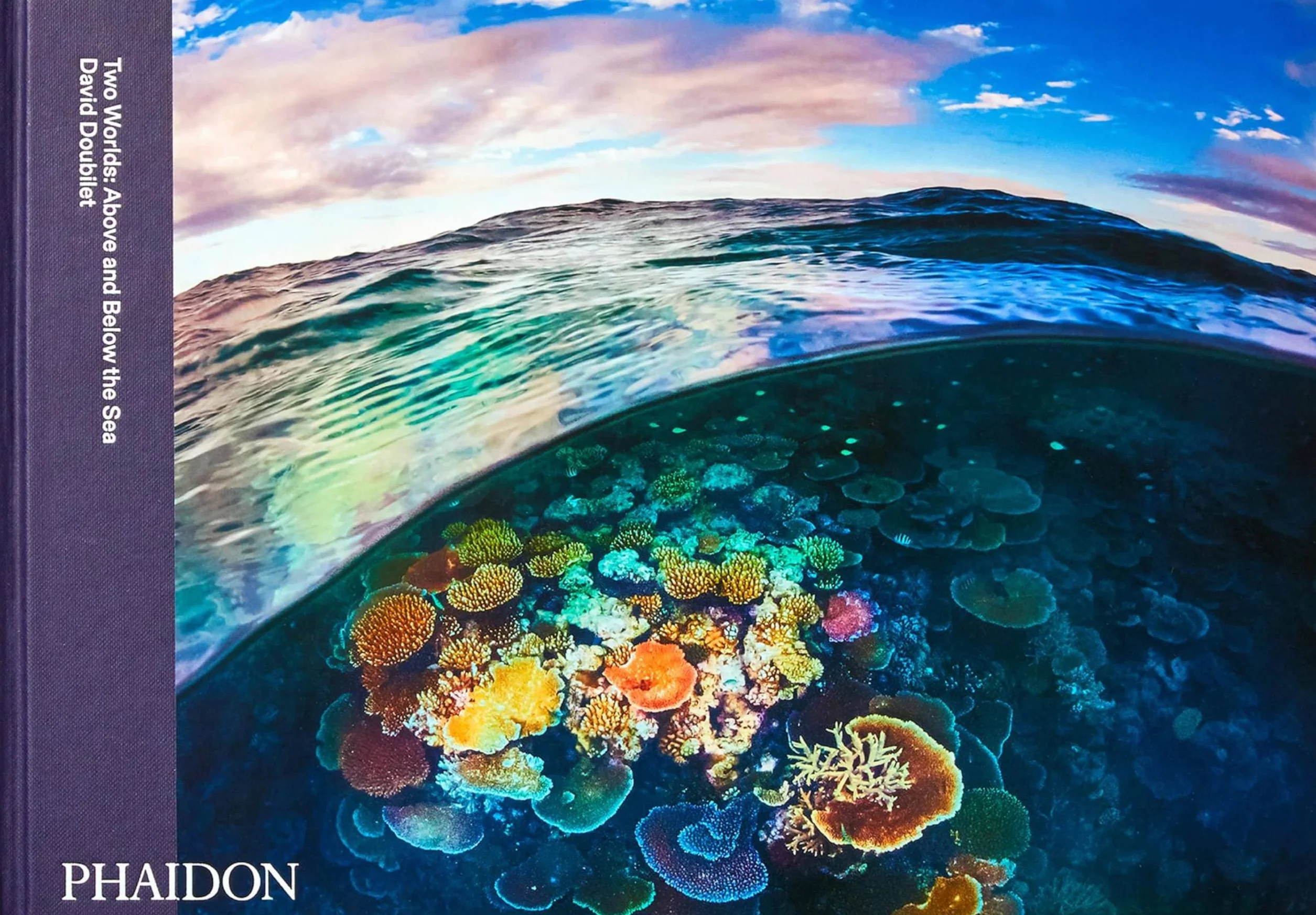 Two worlds : above and below the sea