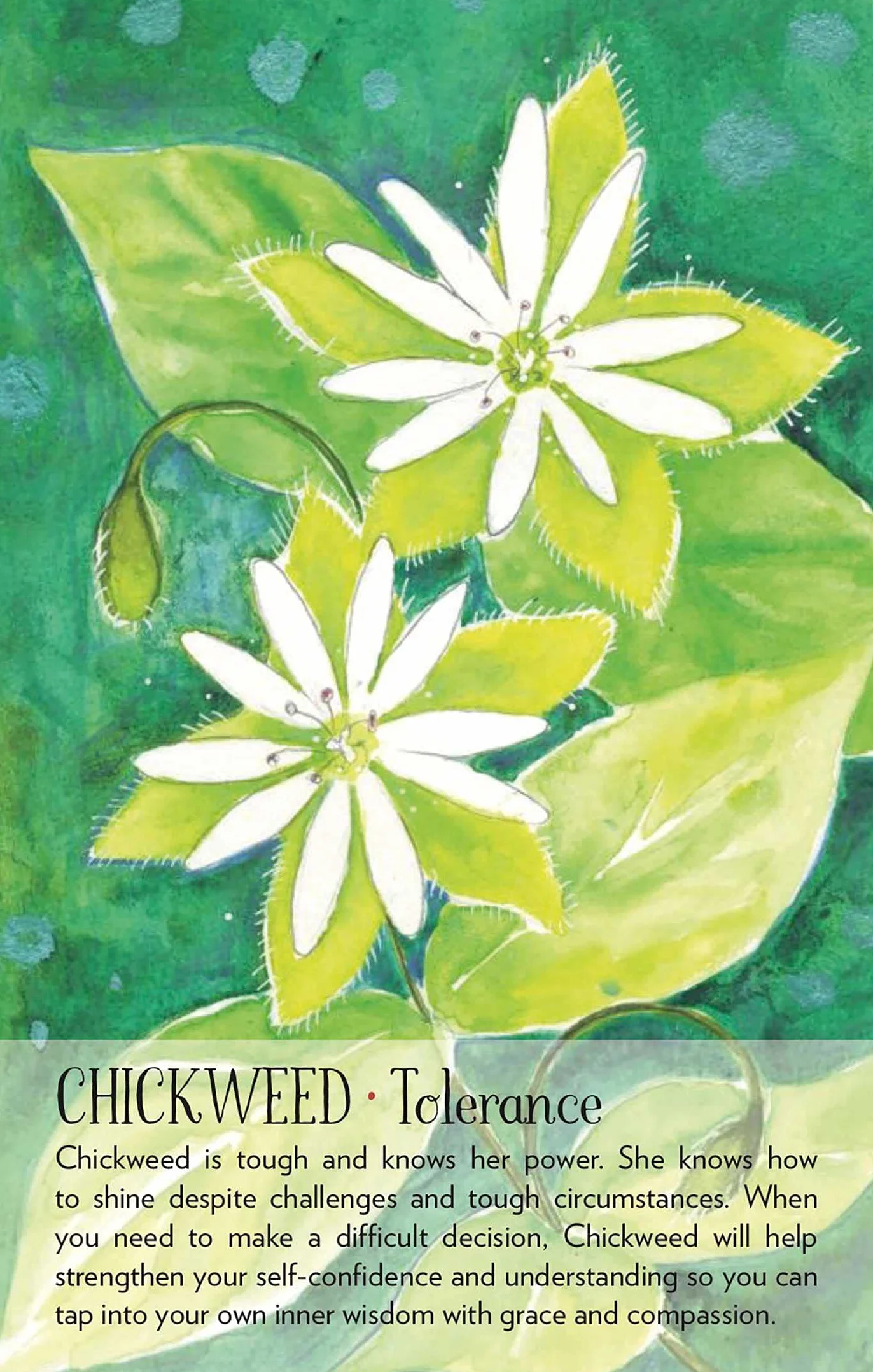 Soulflower Plant Spirit Oracle: 44-Card Deck and Guidebook
