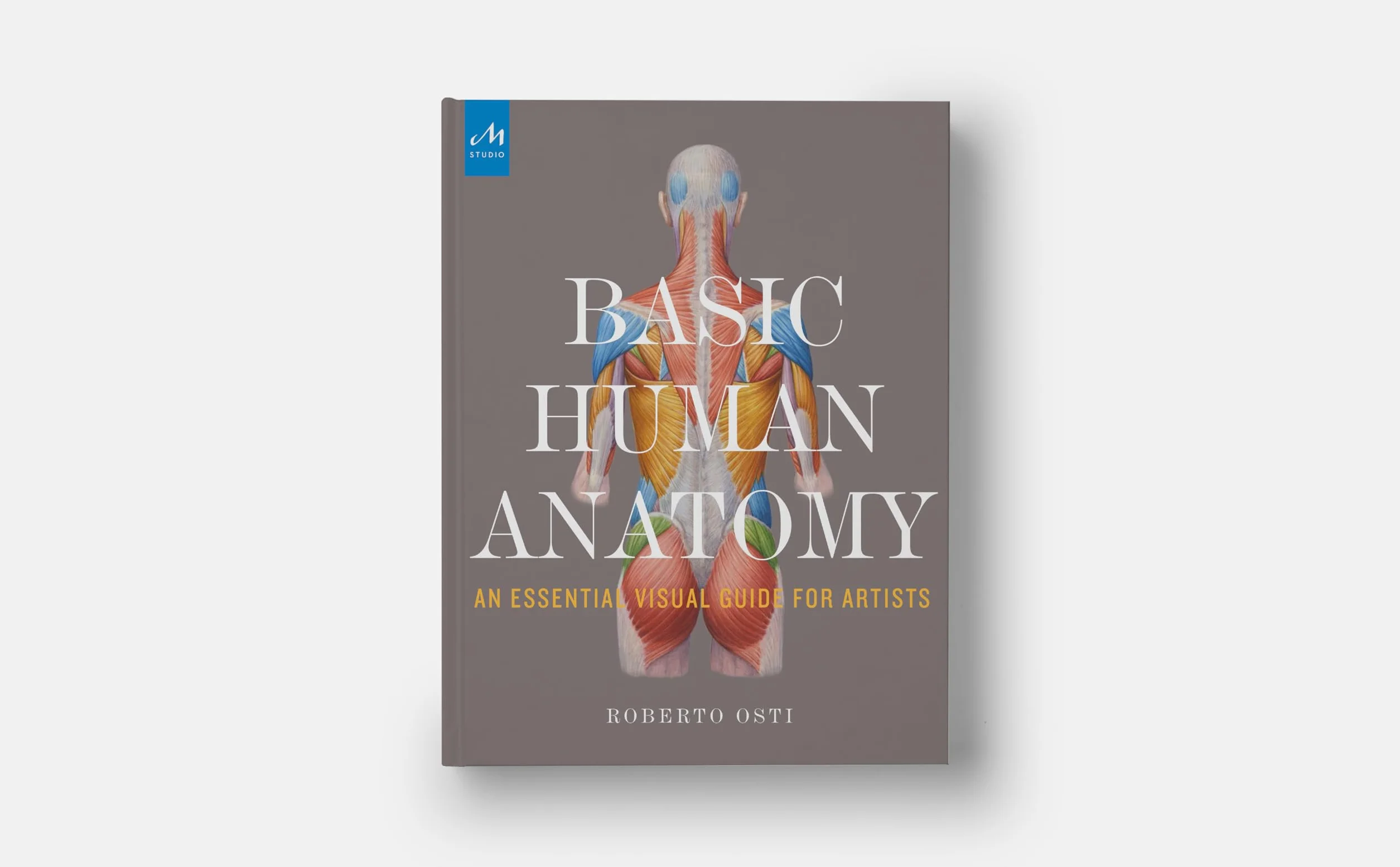 Basic Human Anatomy: An Essential Visual Guide for Artists
