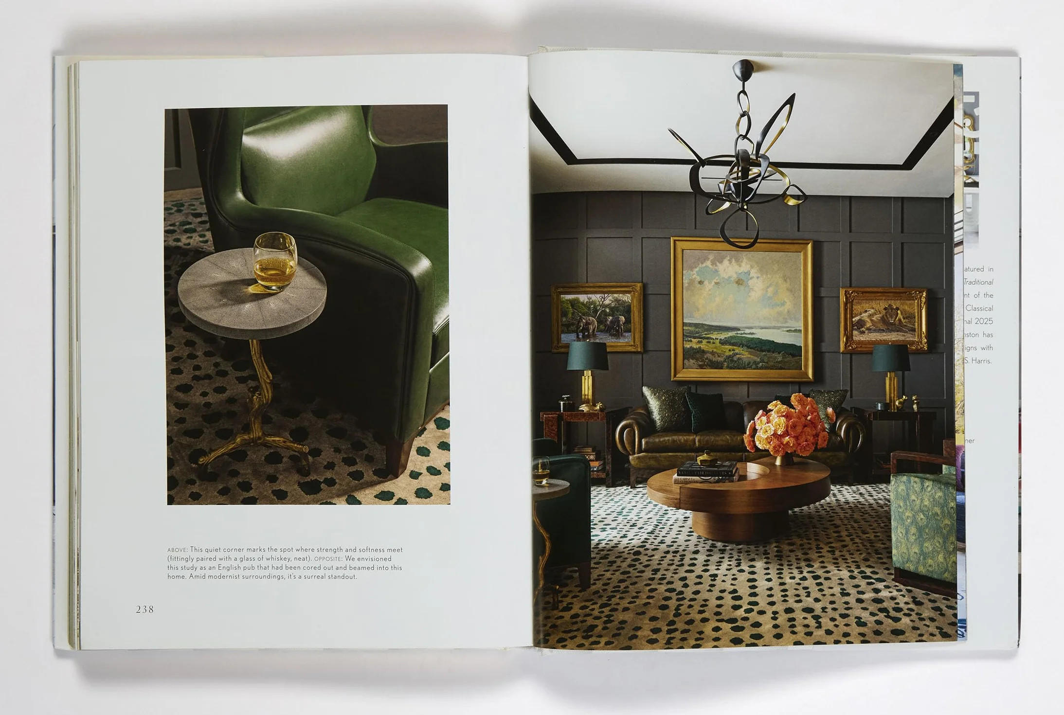 Benjamin Johnston Refined Interiors /anglais: Timeless Homes for Modern Living