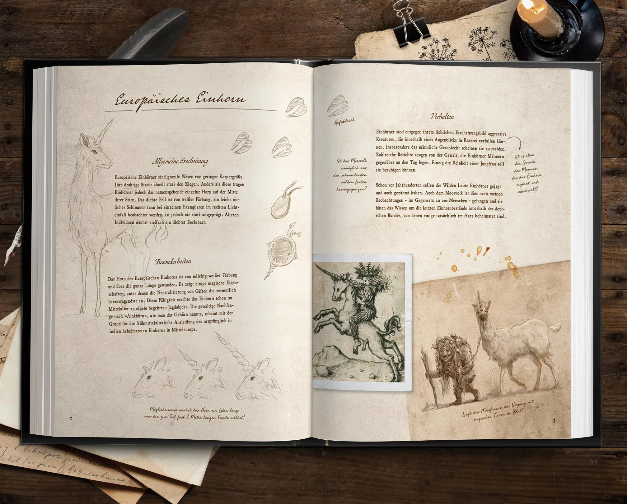 Fast verschwundene Fabelwesen. Die sagenhafte Expedition des Konstantin O. Boldt: 1