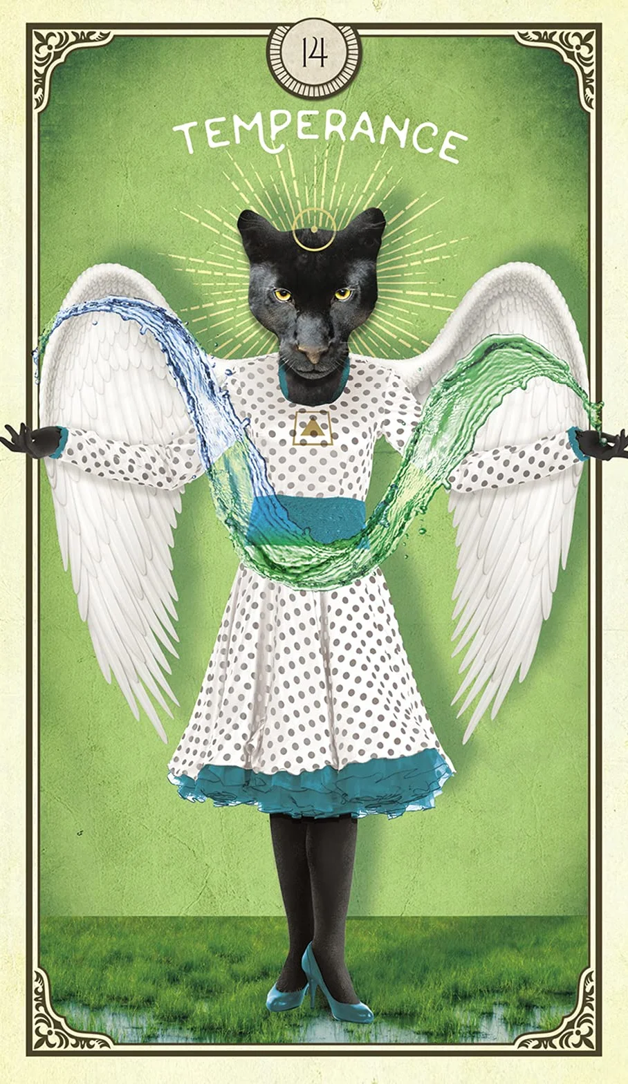 The Tarot of Curious Creatures: A 78 (+1) Card Deck and Guidebook