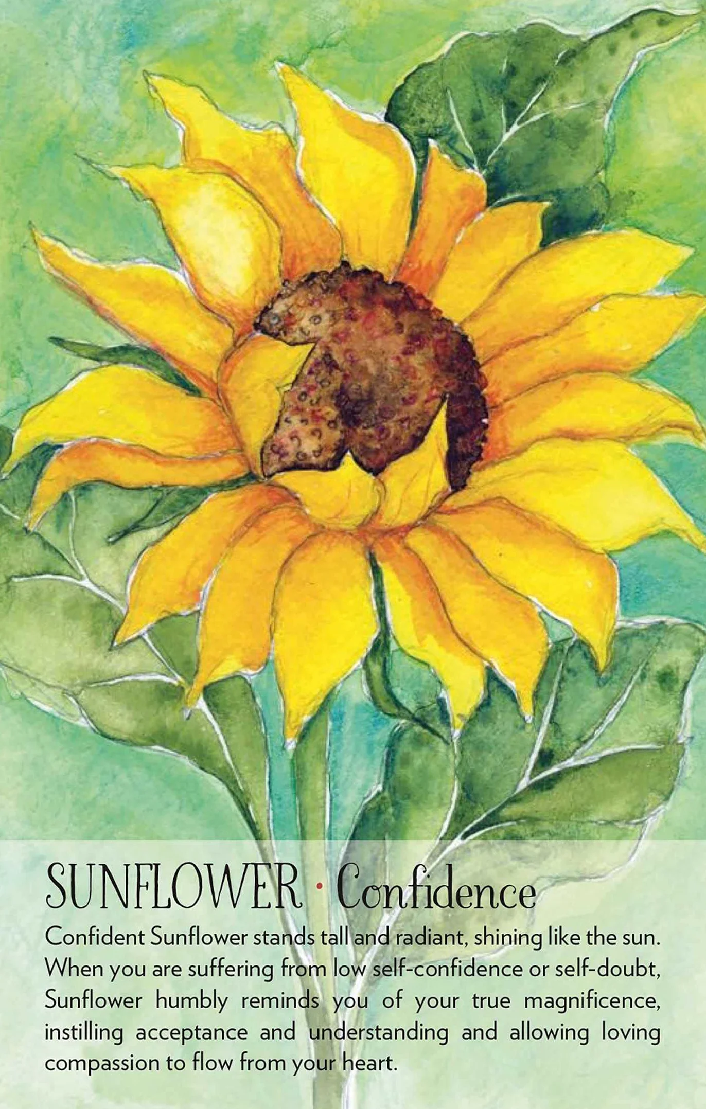 Soulflower Plant Spirit Oracle: 44-Card Deck and Guidebook