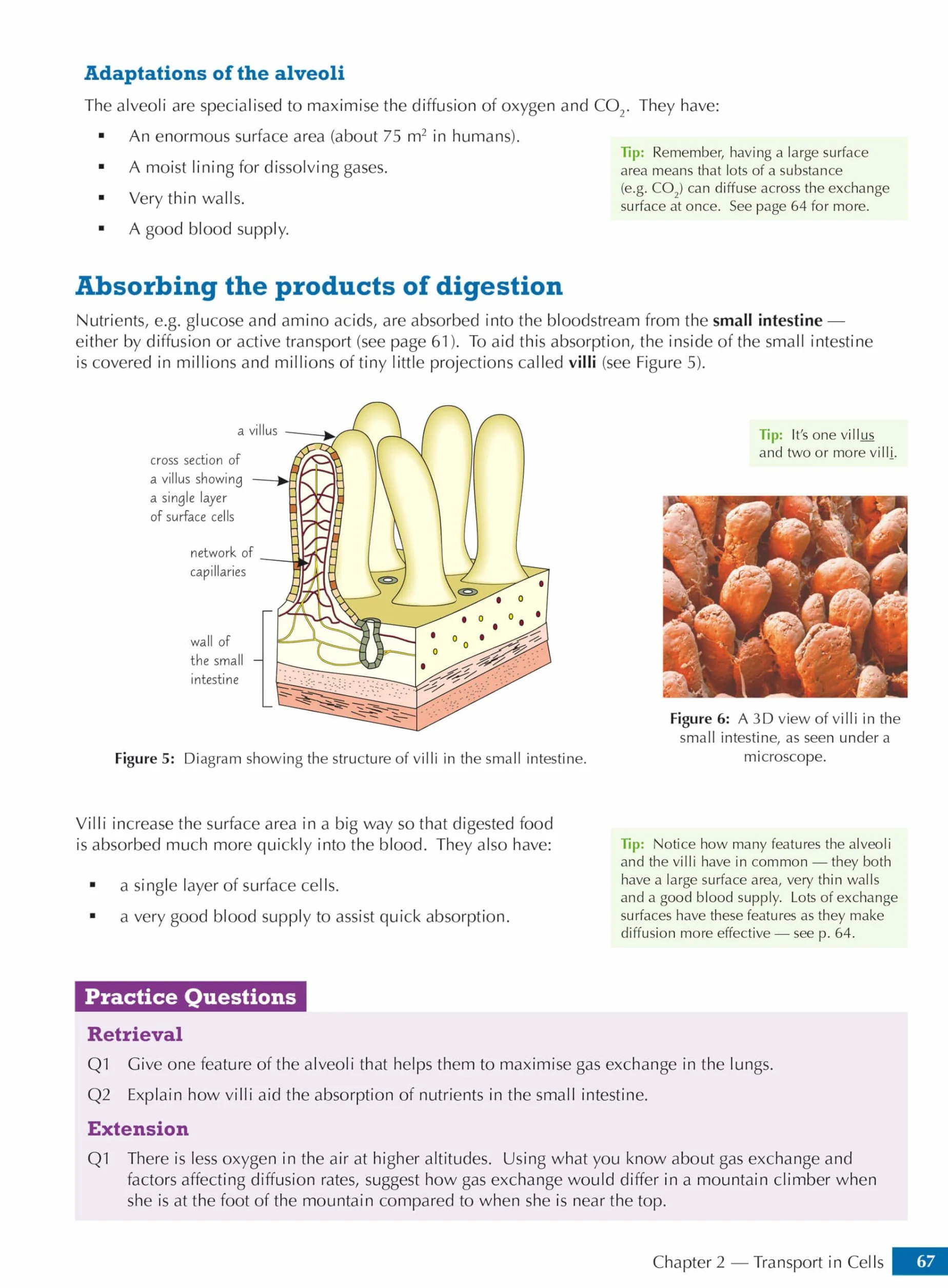 GCSE Biology AQA Student Book (includes Online Edition, Videos and Answers)