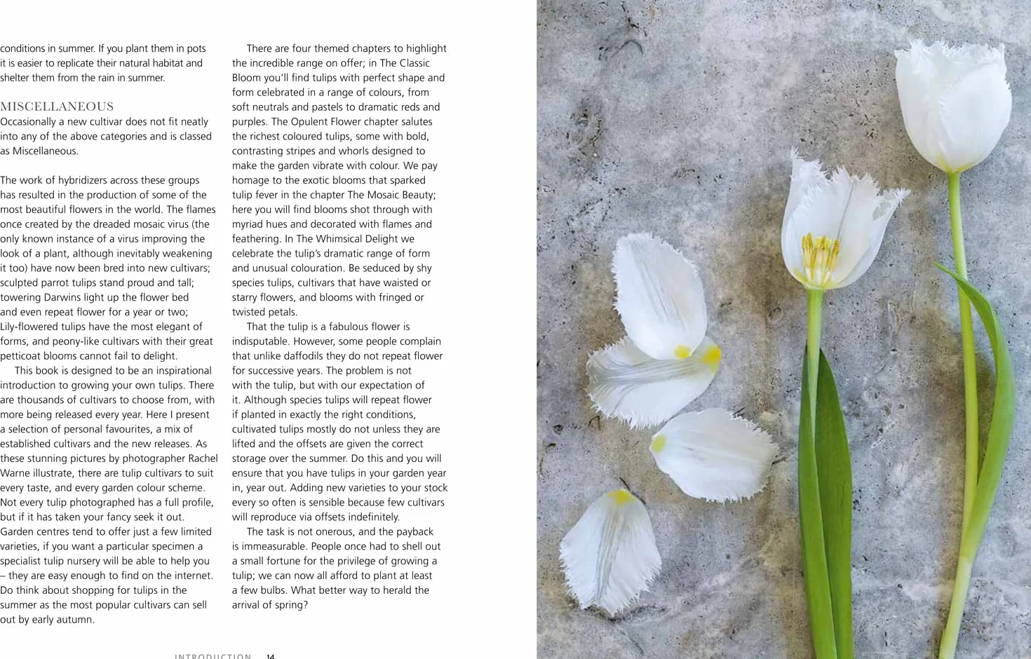 Tulips: The ultimate guide for growing and cutting flower varieties for the home and garden