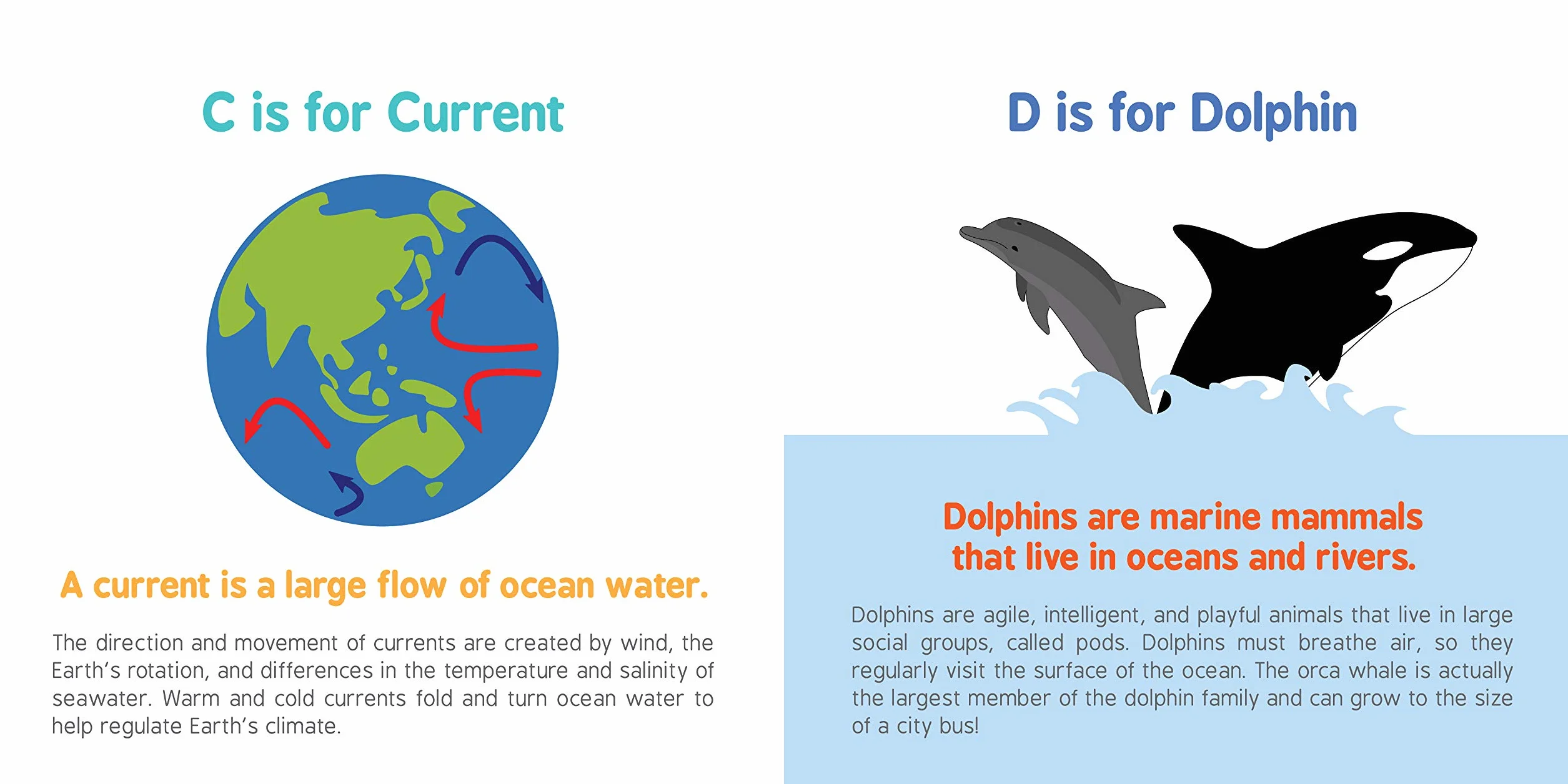 ABCs of Oceanography: 1 (Baby University)