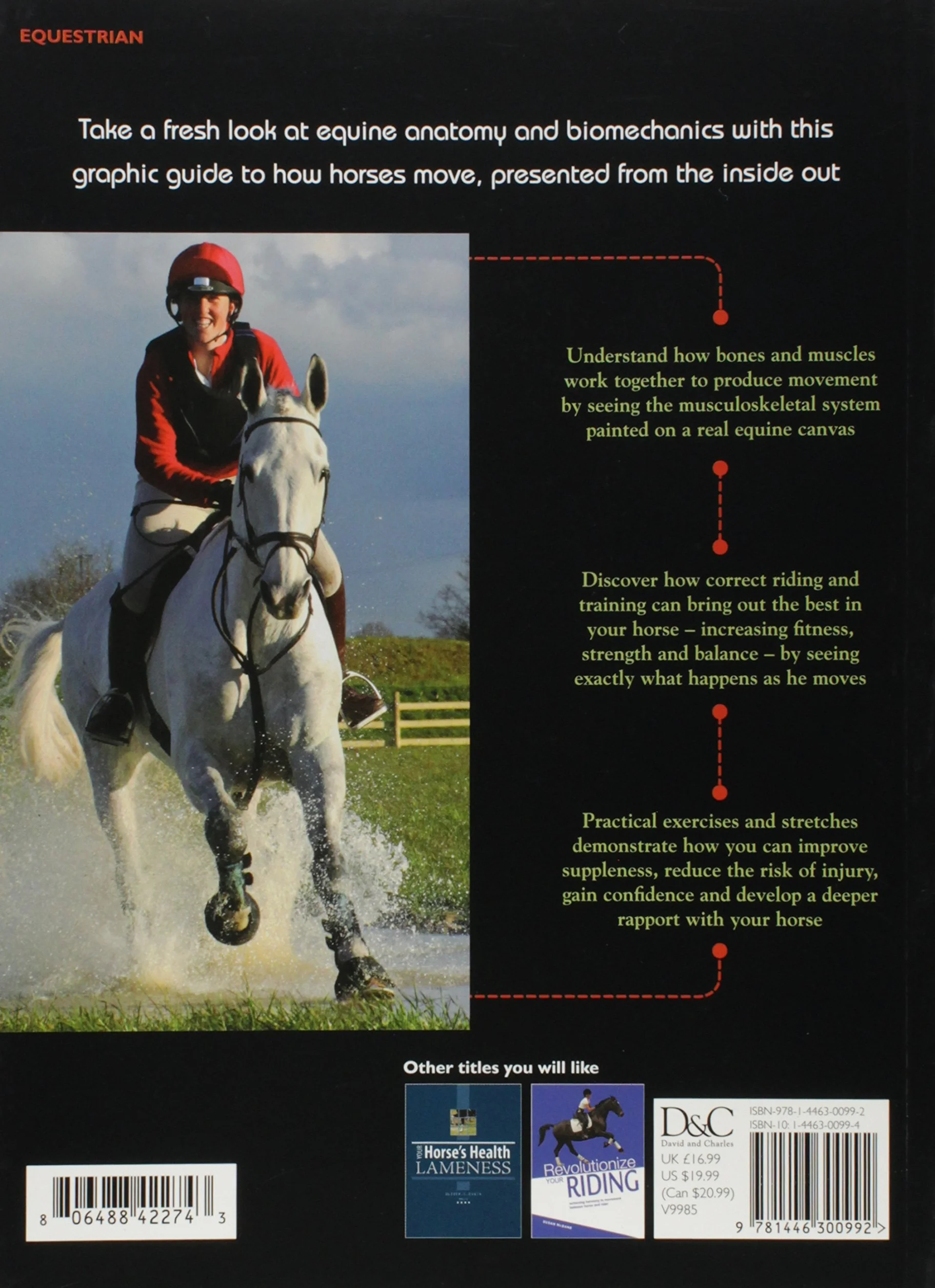 How Your Horse Moves: A Unique Visual Guide to Improving Performance