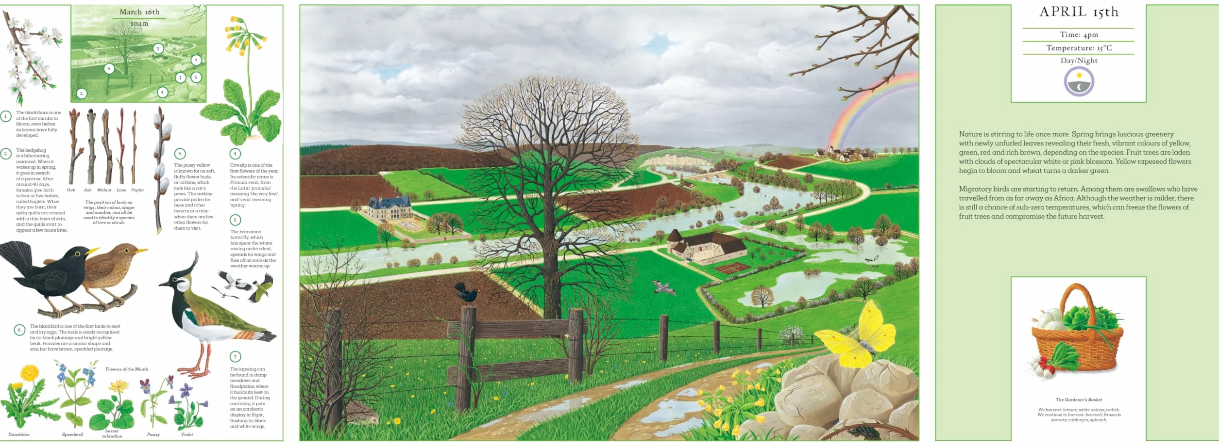 A Year in Nature: Explore the Countryside, Month by Month