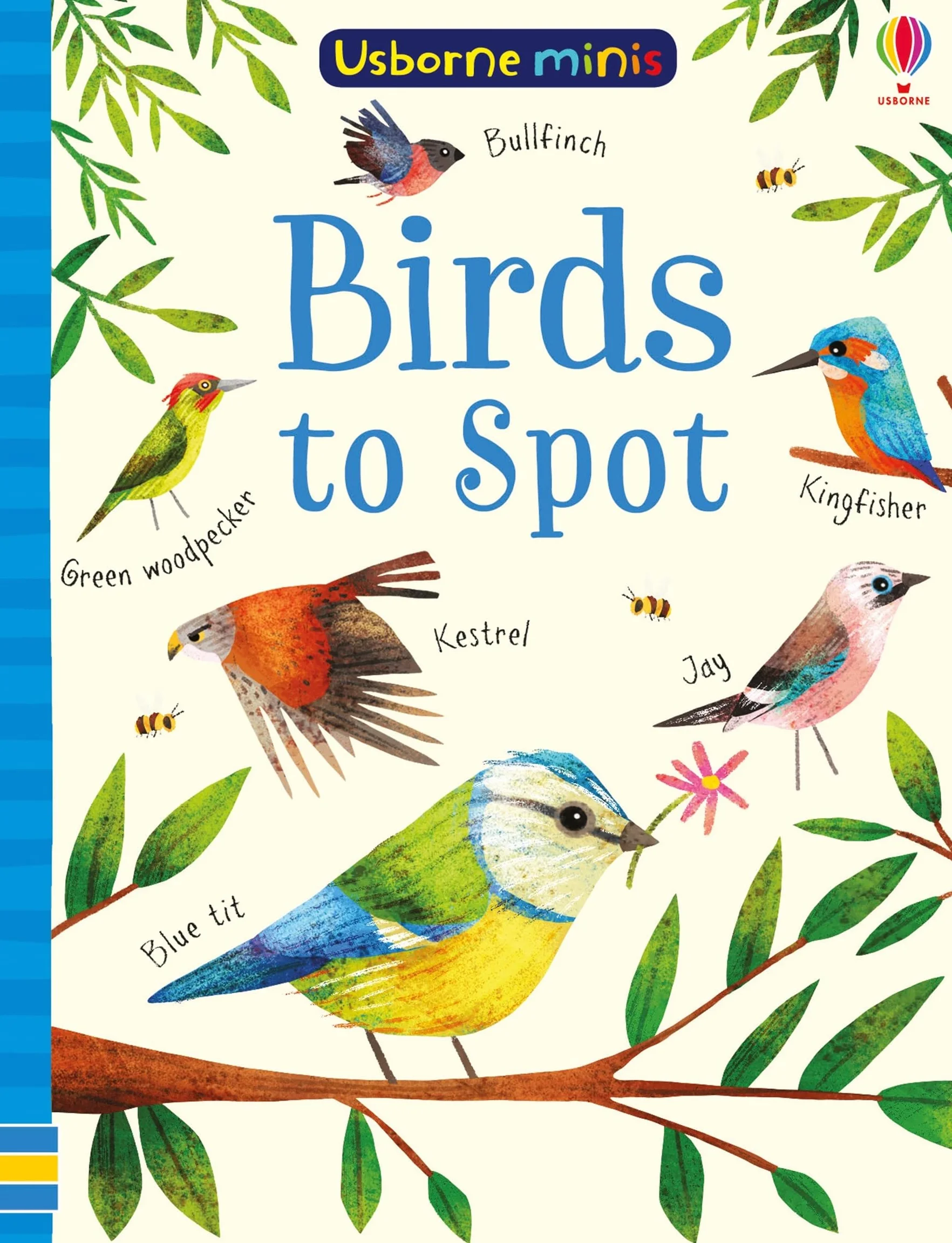Usborne Minis Birds to Spot