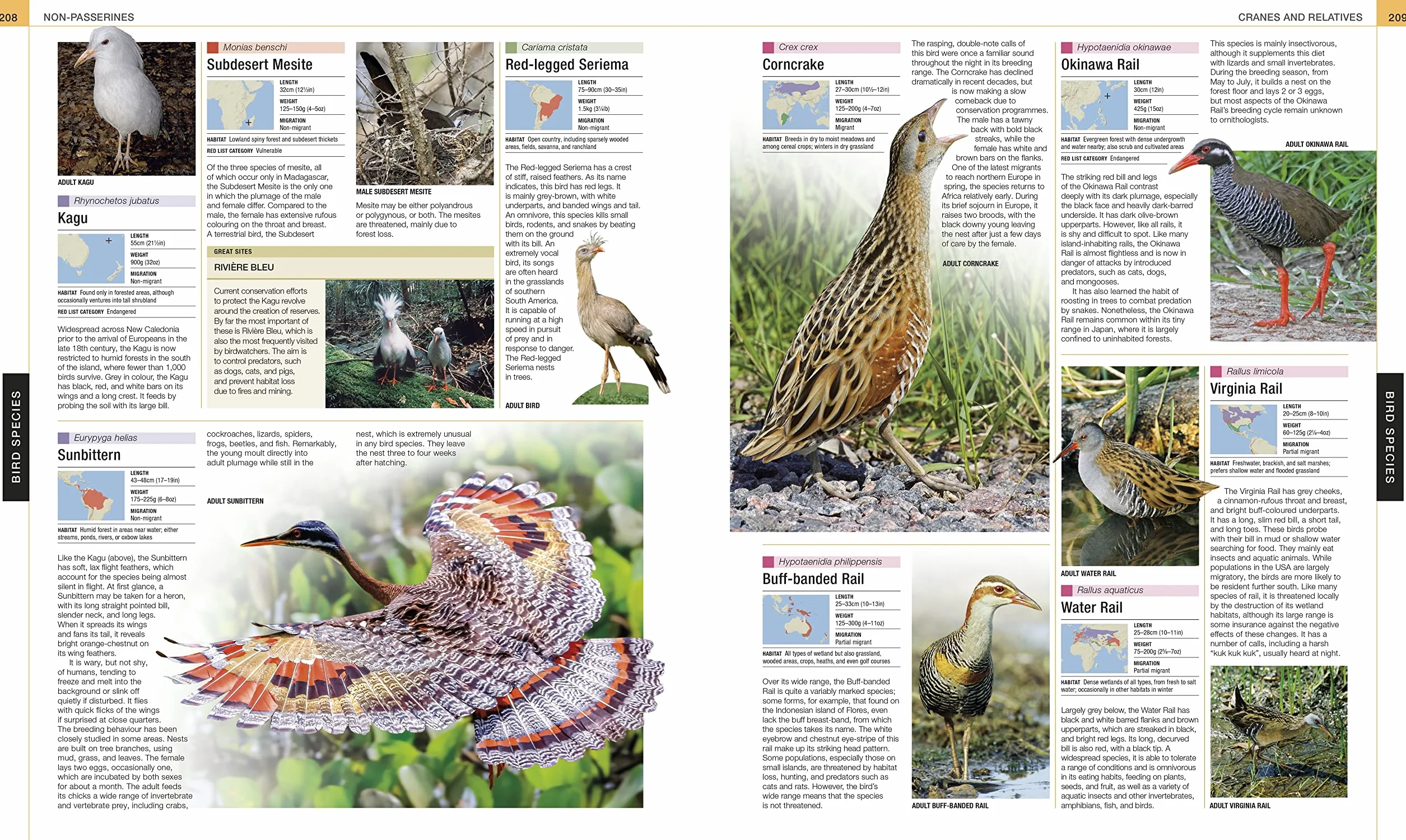 Bird: The Definitive Visual Guide