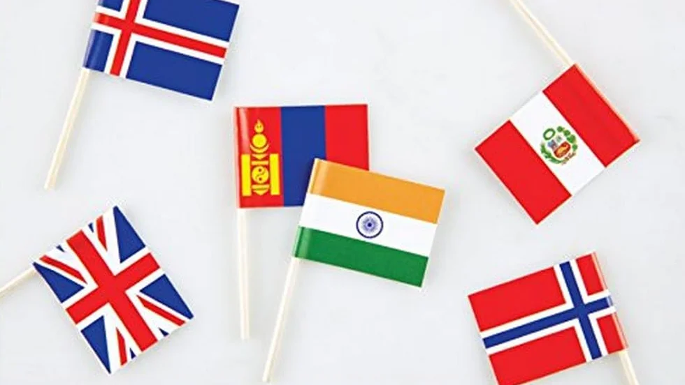 Mon coffret Montessori des drapeaux du monde - Dès 6 ans: Avec 1 planisphère et 50 drapeaux