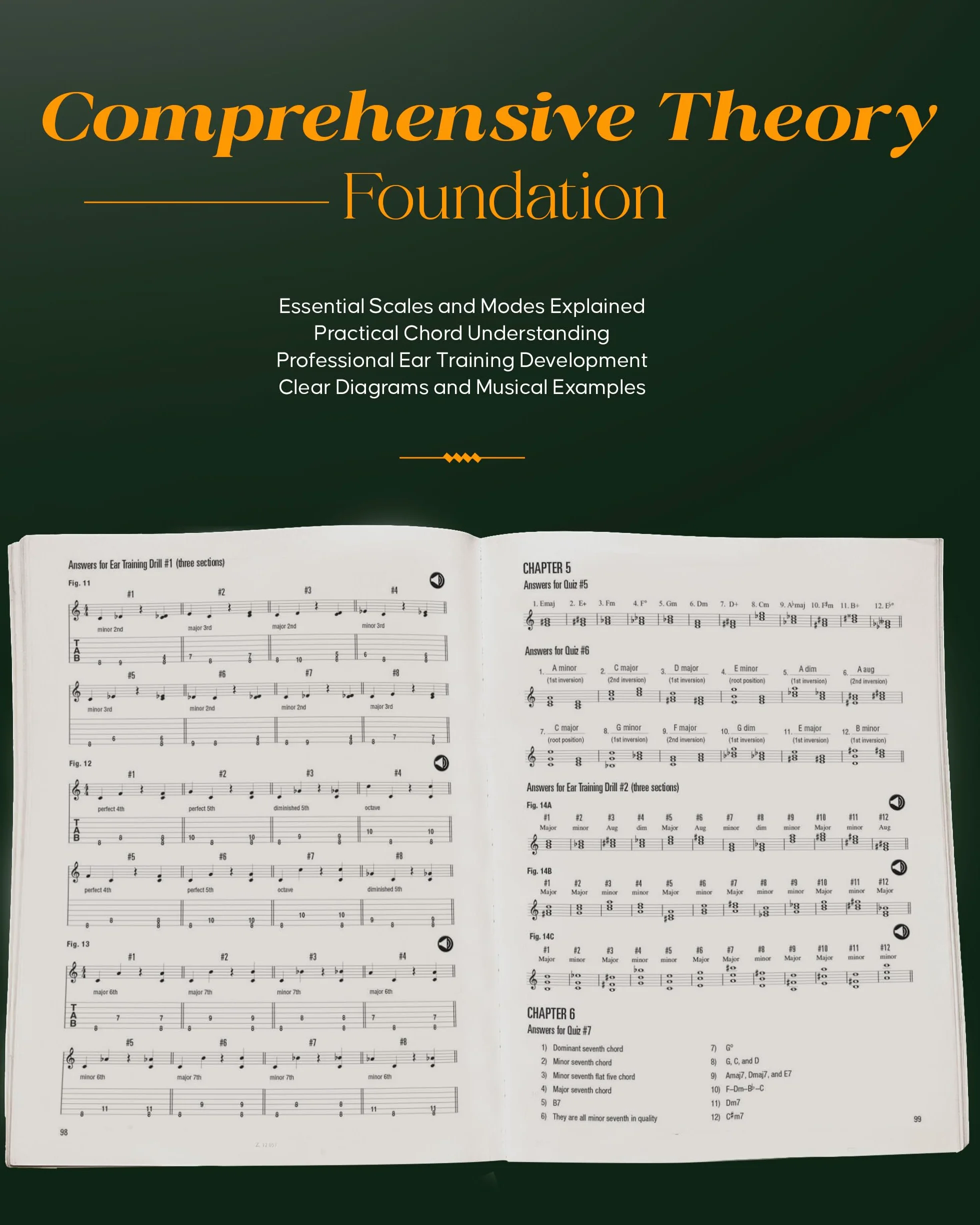 Music Theory for Guitarists Book/Online Audio: Everything You Ever Wanted to Know But Were Afraid to Ask