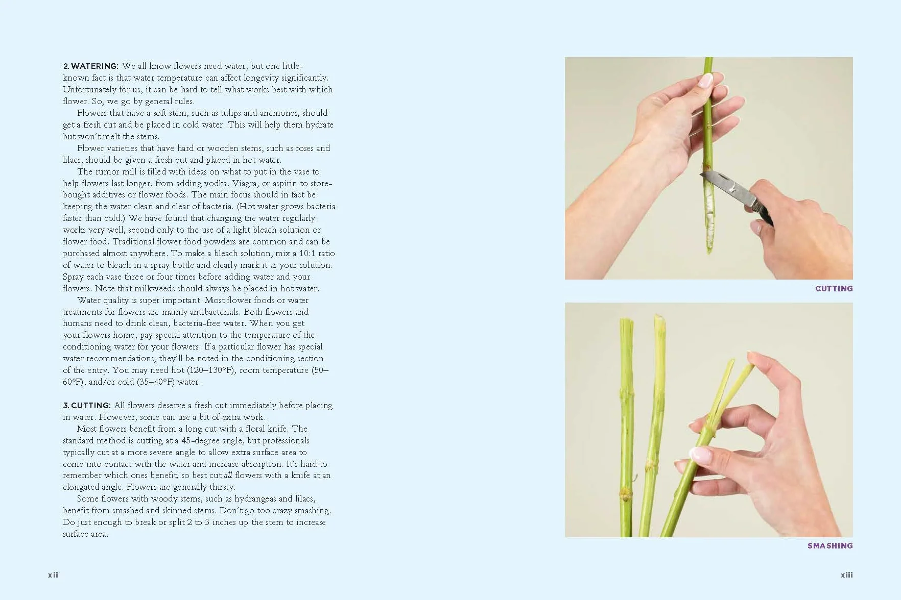 The Encyclopedia of Cut Flowers: What Flowers to Buy, When to Buy Them, and How to Keep Them Alive Longer