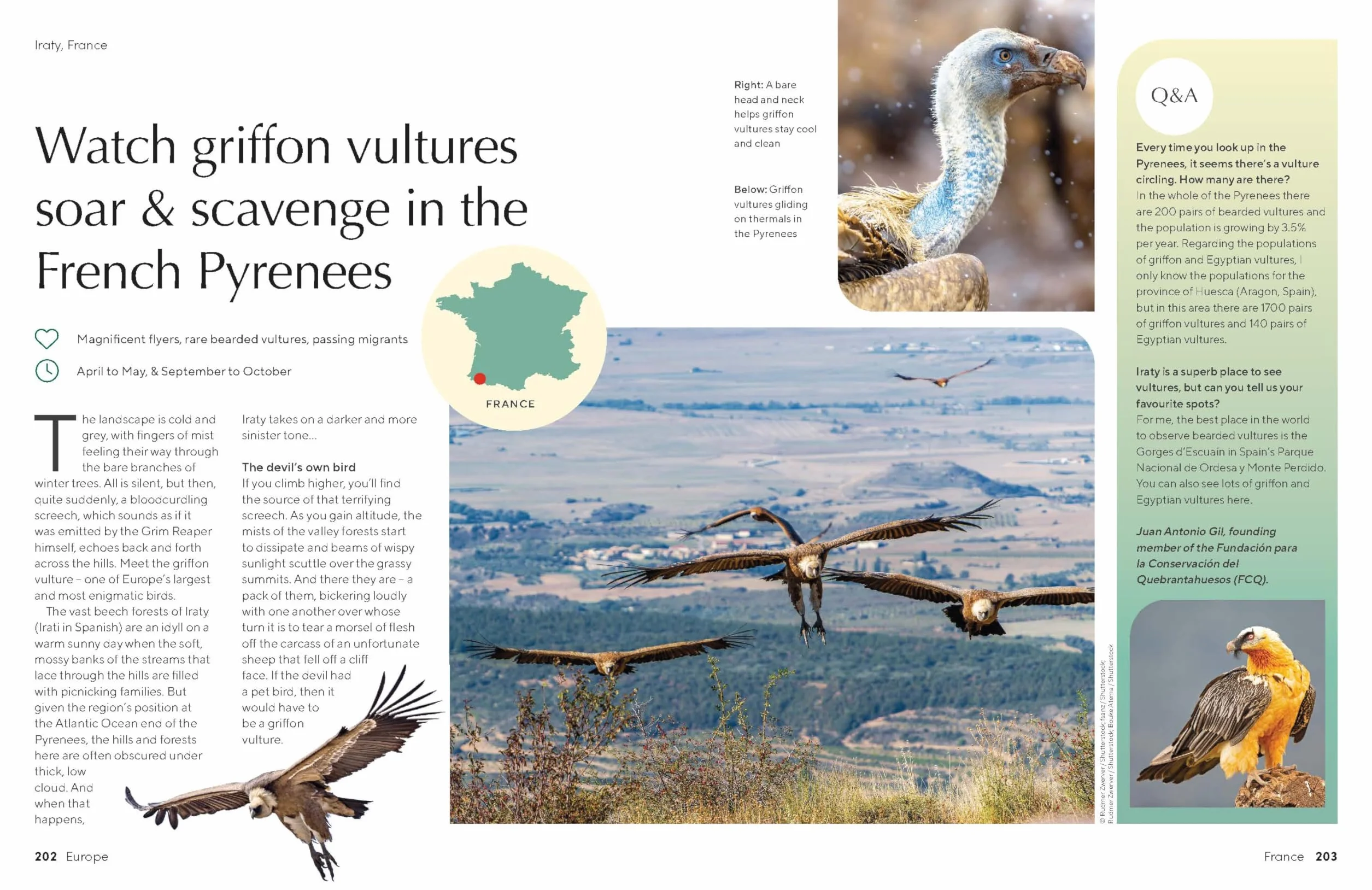 The Joy of Birdwatching - anglais: The World's Most Joyous Birding Adventures | Connect with Nature & Meet Remarkable Creatures | Packed with Tips on Where & When to Go